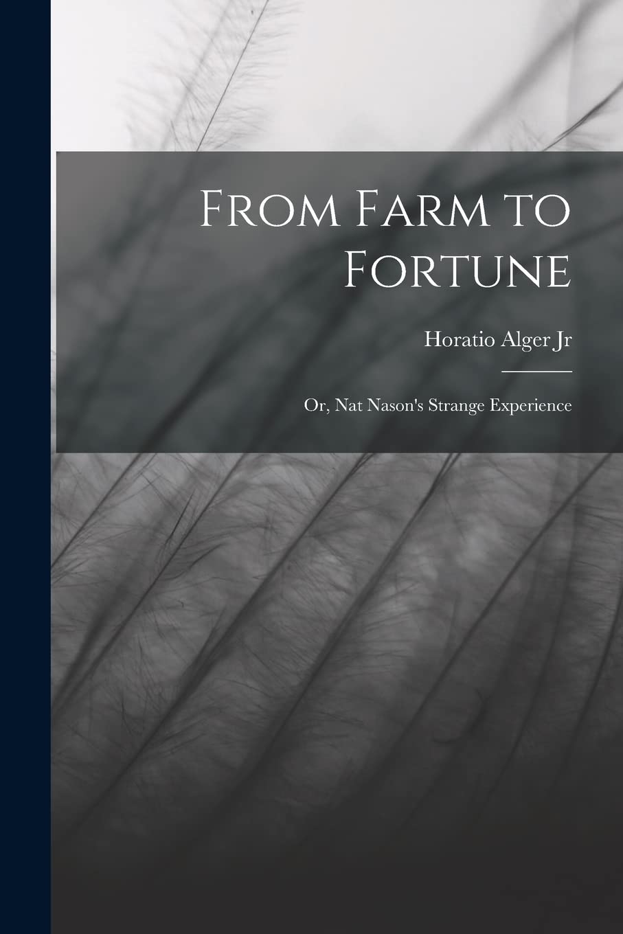 From Farm to Fortune: Or, Nat Nason's Strange Experience Memories