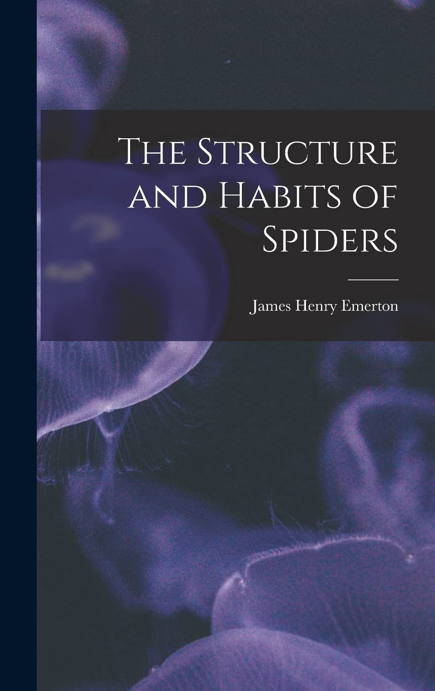 The Structure and Habits of Spiders Mathematics