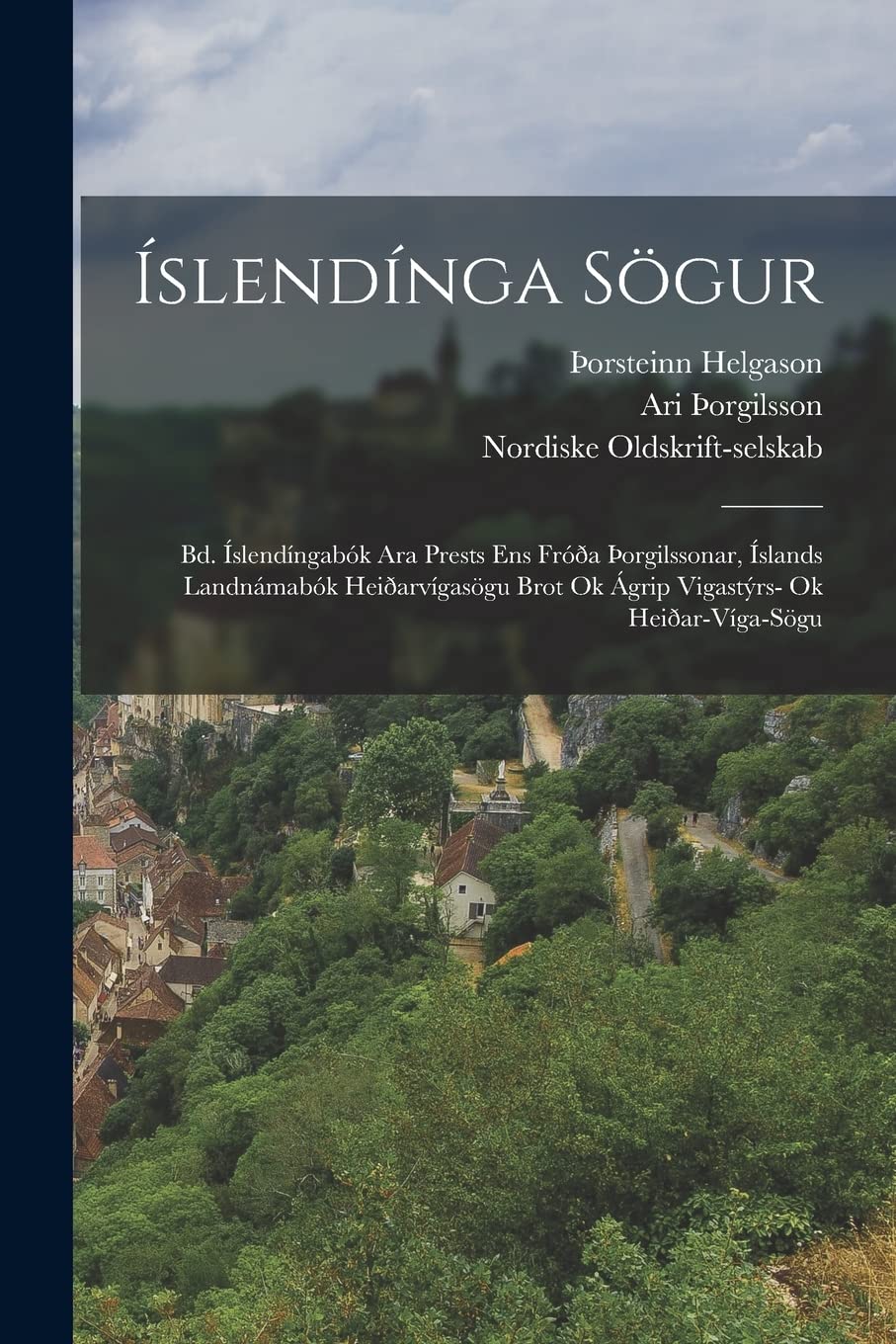 Íslendínga Sögur: Bd. Íslendíngabók Ara Prests Ens Fróða þorgilssonar, Íslands Landnámabók Heiðarvígasögu Brot Ok Ágrip Vigastýrs- Ok Heiðar-Víga-Sögu Politics & History