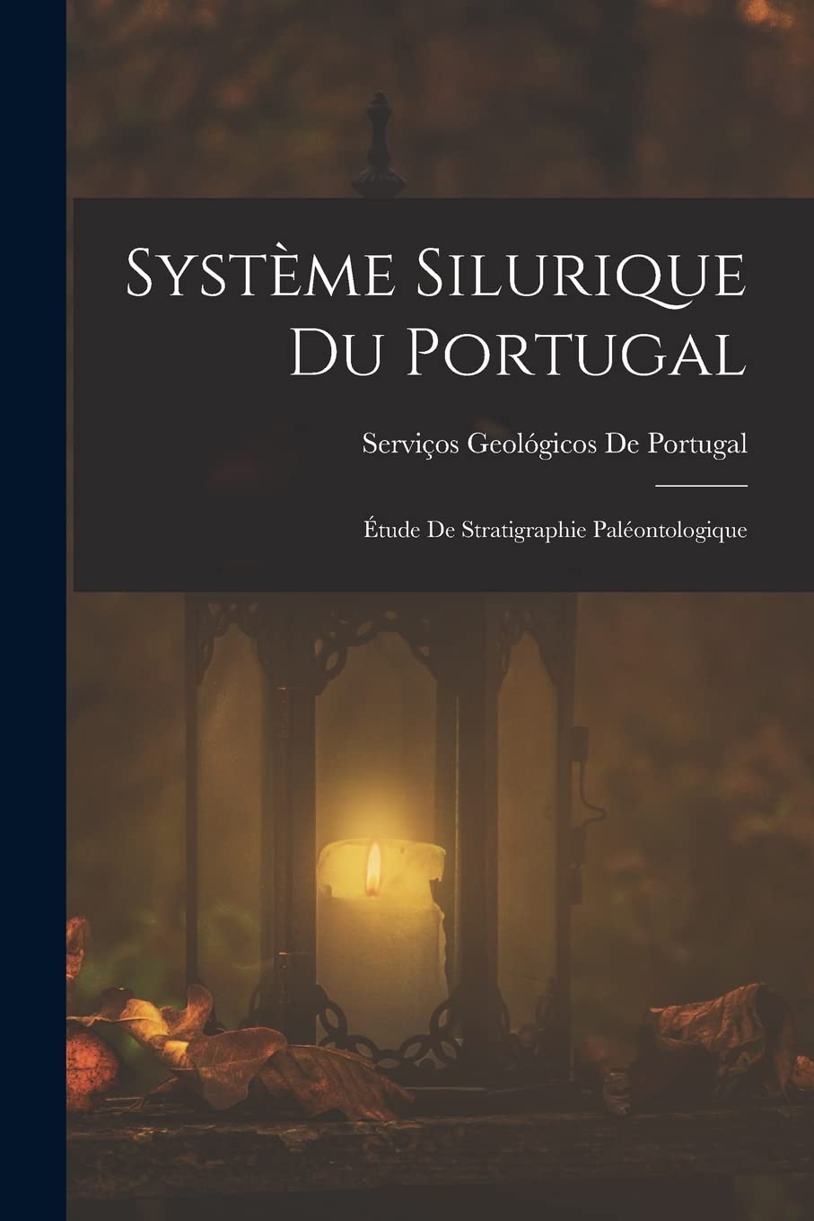 Système Silurique Du Portugal: Étude De Stratigraphie Paléontologique Novels & Short Stories