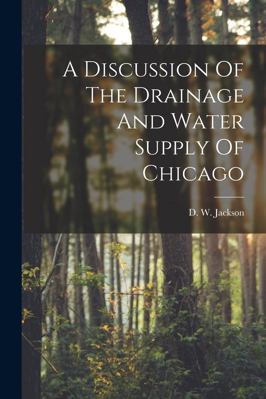 A Discussion Of The Drainage And Water Supply Of Chicago Business & Technology