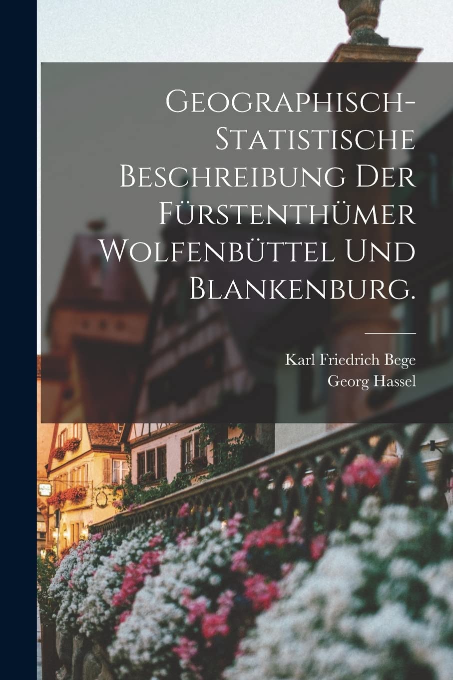 Geographisch-statistische Beschreibung der Fürstenthümer Wolfenbüttel und Blankenburg. book