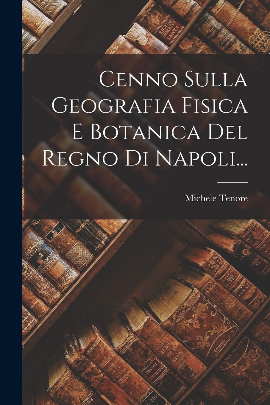 Cenno Sulla Geografia Fisica E Botanica Del Regno Di Napoli... Contemporary literature