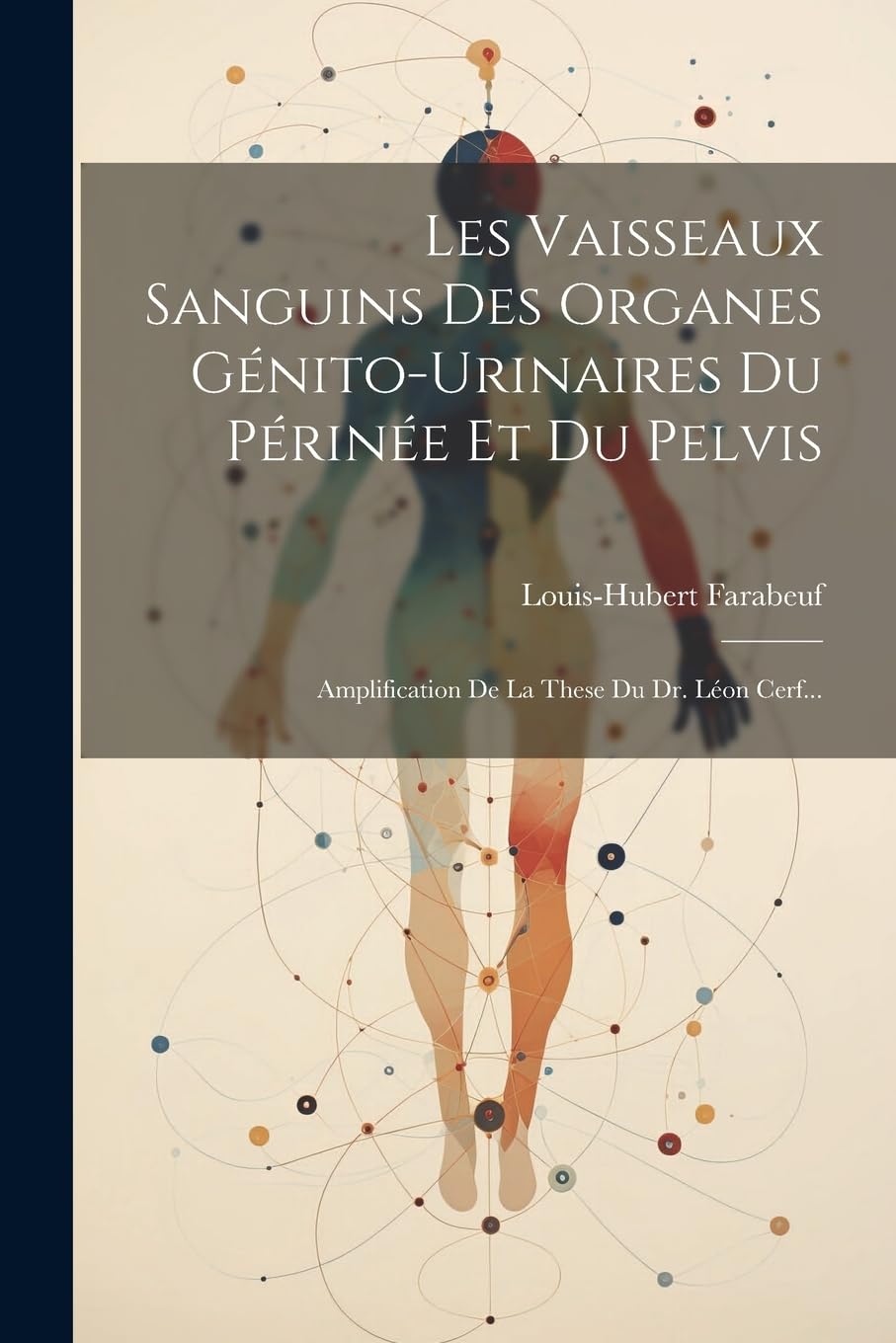 Les Vaisseaux Sanguins Des Organes Génito-urinaires Du Périnée Et Du Pelvis: Amplification De La These Du Dr. Léon Cerf... Medicine