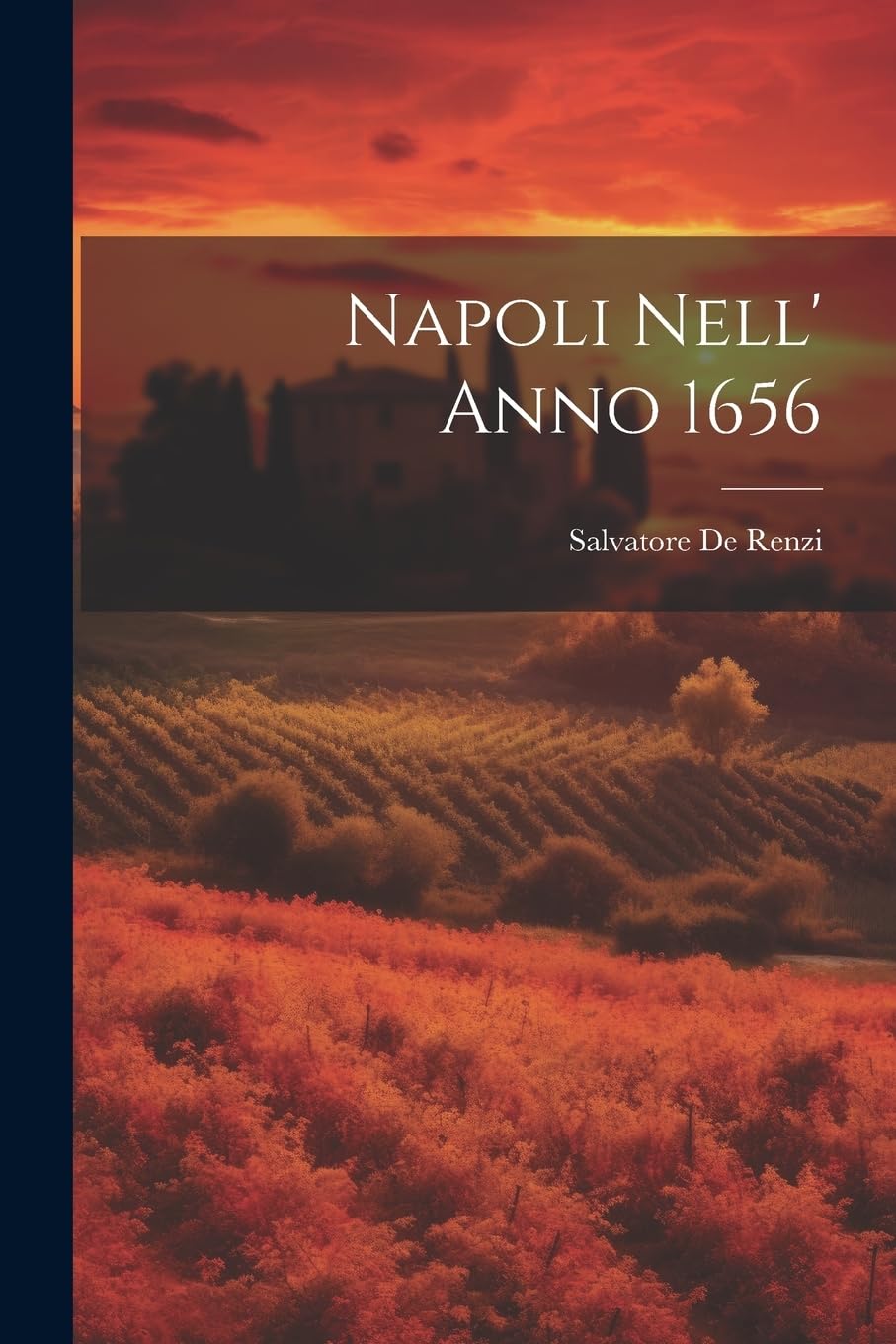 Napoli Nell' Anno 1656 book