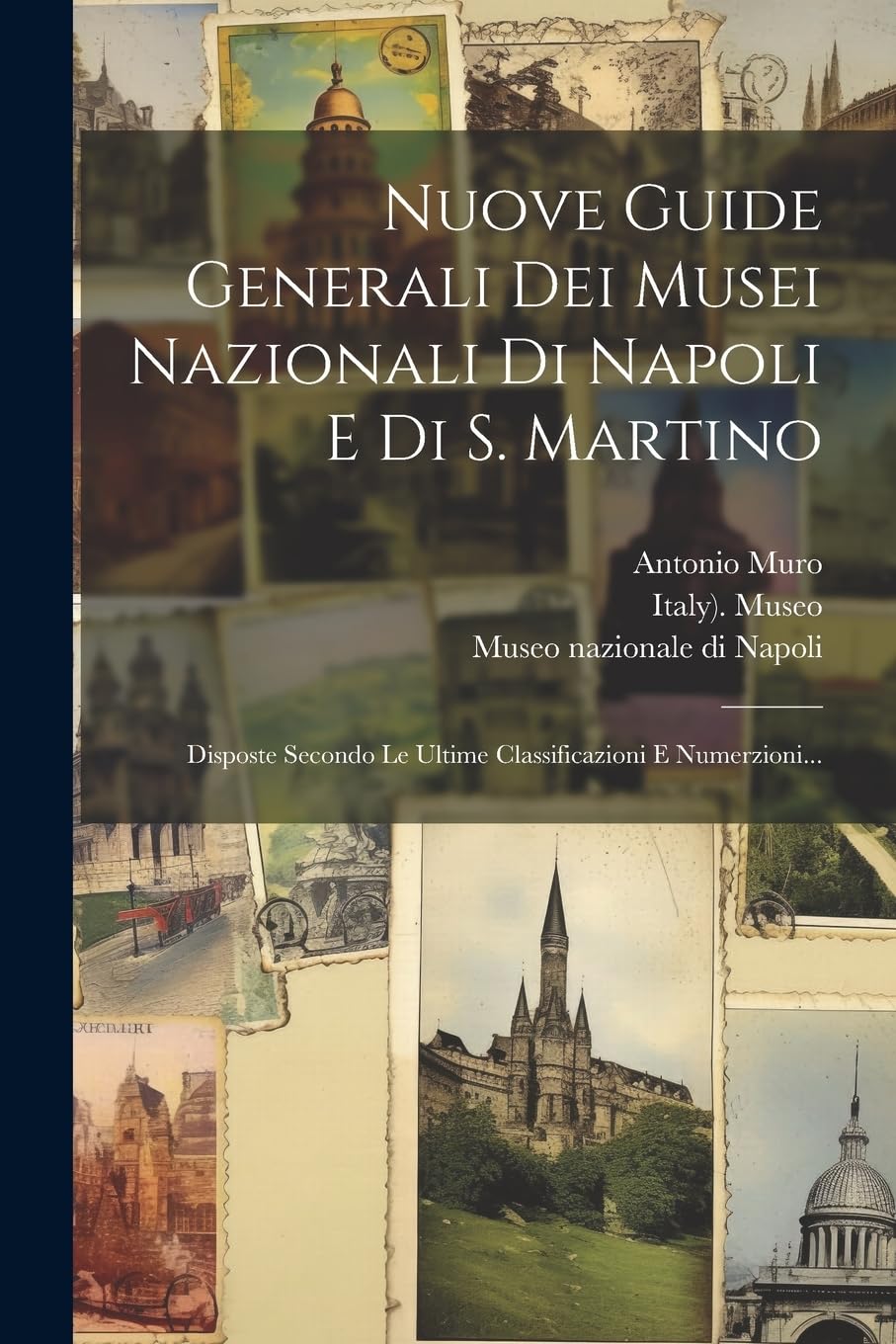 Nuove Guide Generali Dei Musei Nazionali Di Napoli E Di S. Martino: Disposte Secondo Le Ultime Classificazioni E Numerzioni... Leisure, Home & Garden