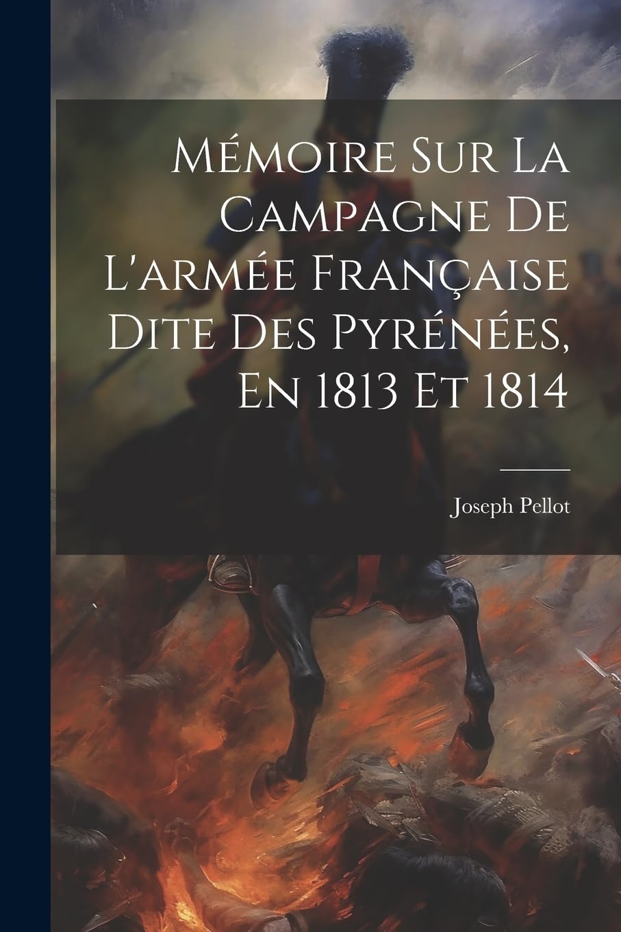 Mémoire Sur La Campagne De L'armée Française Dite Des Pyrénées, En 1813 Et 1814 Politics & History
