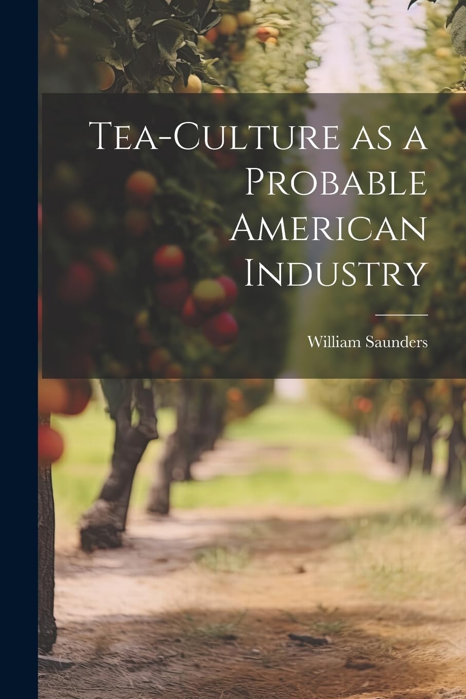 Tea-culture as a Probable American Industry Garden & Plants