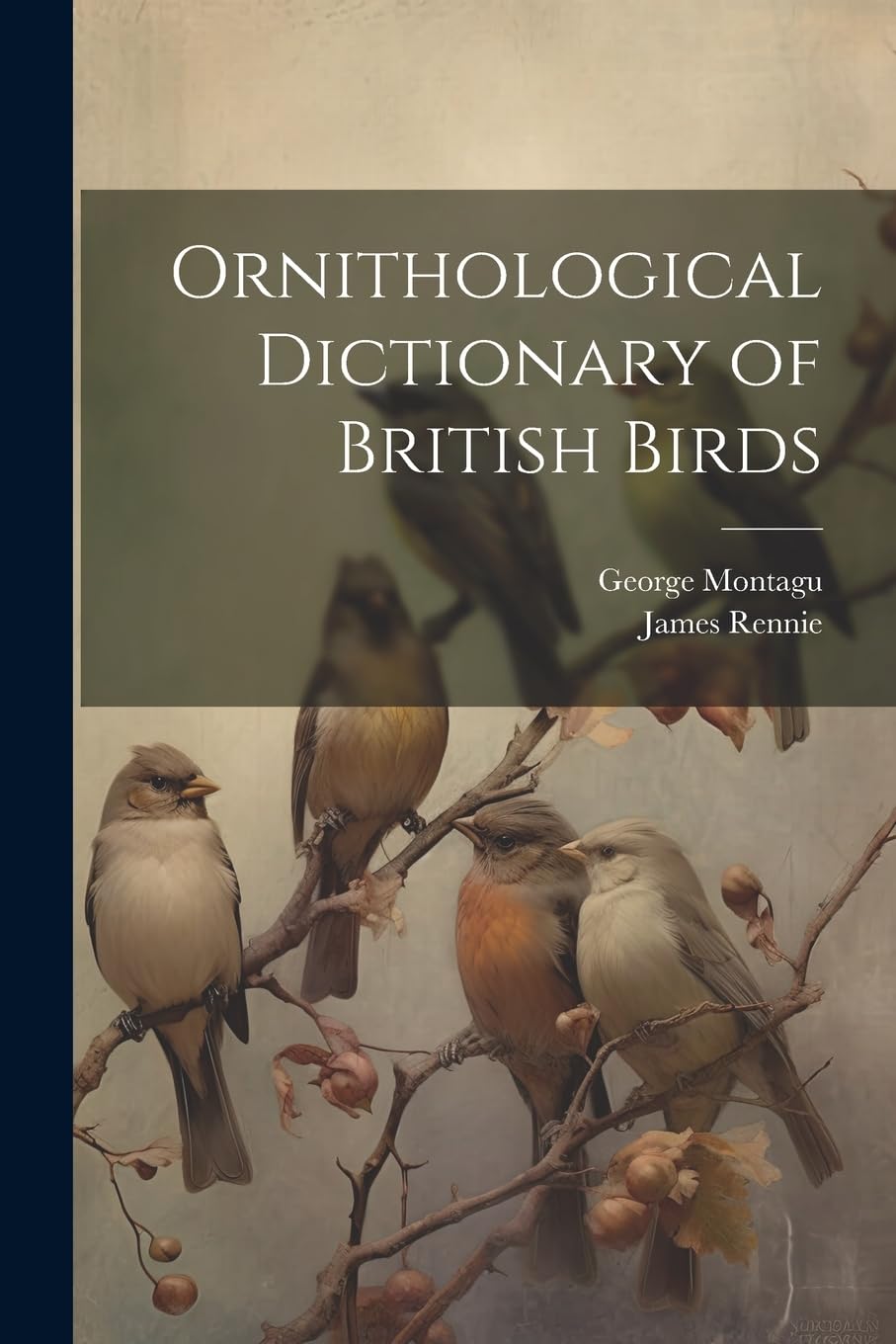 Ornithological Dictionary of British Birds Mathematics