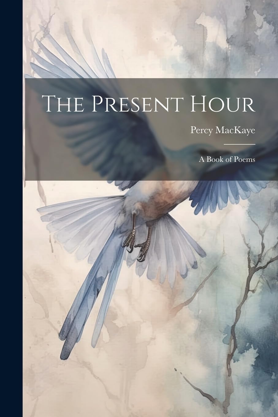 The Present Hour: A Book of Poems Contemporary literature