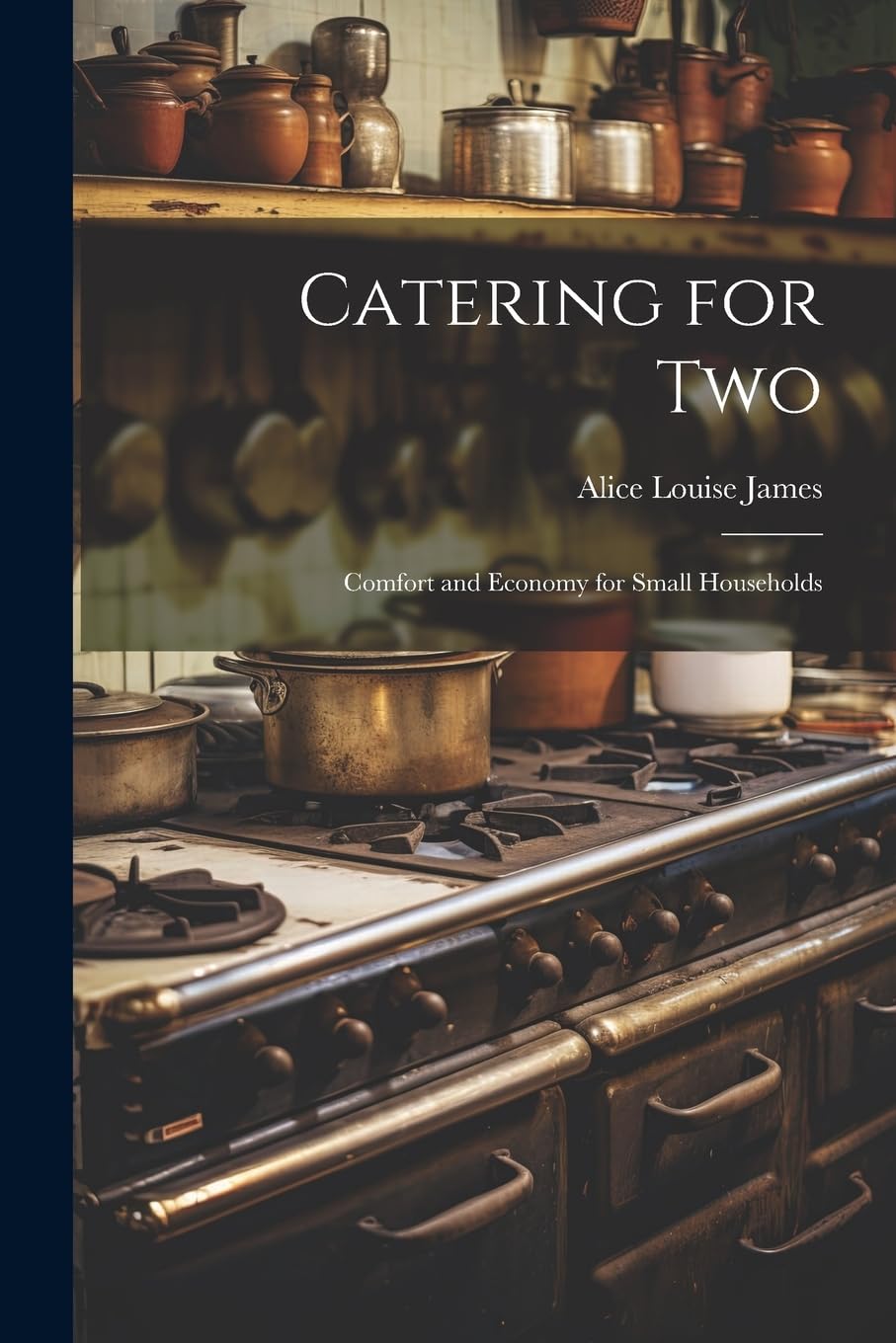 Catering for Two: Comfort and Economy for Small Households Business, Finance & Career