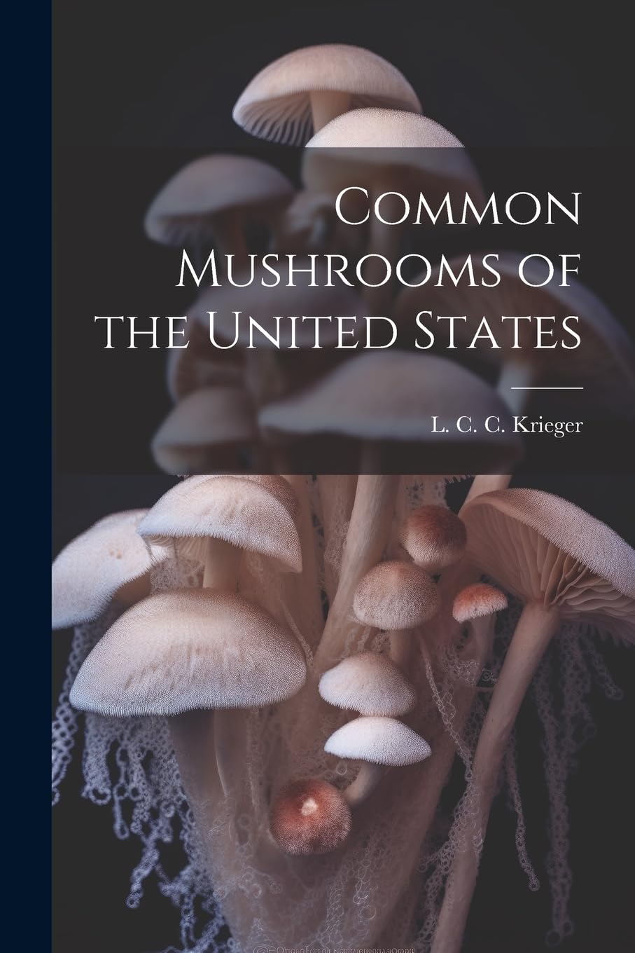 Common Mushrooms of the United States Mathematics
