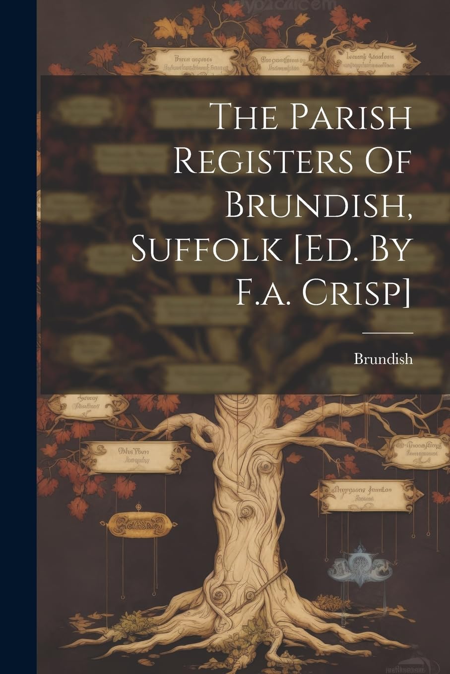 The Parish Registers Of Brundish, Suffolk book