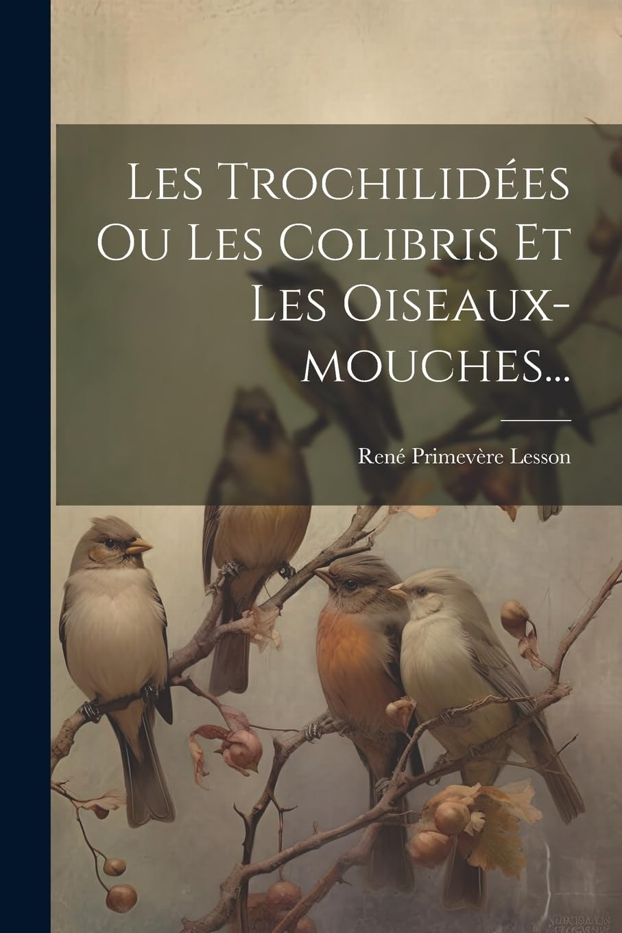 Les Trochilidées Ou Les Colibris Et Les Oiseaux-mouches... book