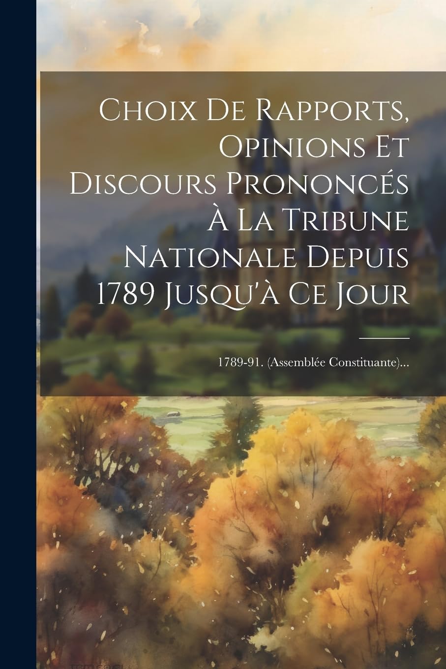 Choix De Rapports, Opinions Et Discours Prononcés À La Tribune Nationale Depuis 1789 Jusqu'à Ce Jour: 1789-91. (assemblée Constituante)... Politics & History