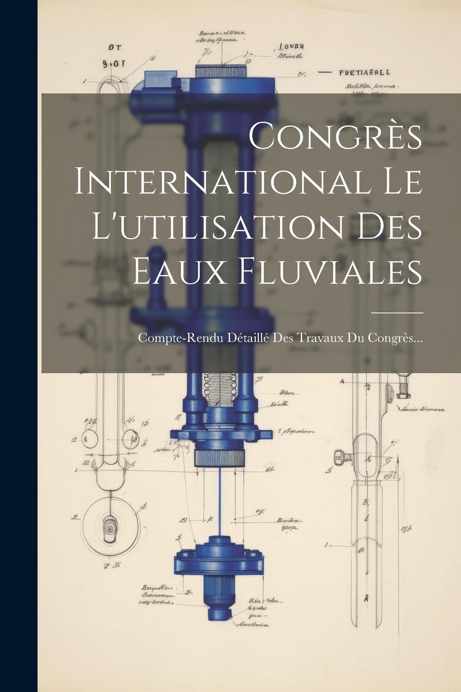 Congrès International Le L'utilisation Des Eaux Fluviales: Compte-rendu Détaillé Des Travaux Du Congrès... Politics & History