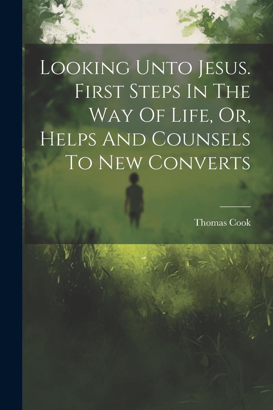 Looking Unto Jesus. First Steps In The Way Of Life, Or, Helps And Counsels To New Converts Politics & History