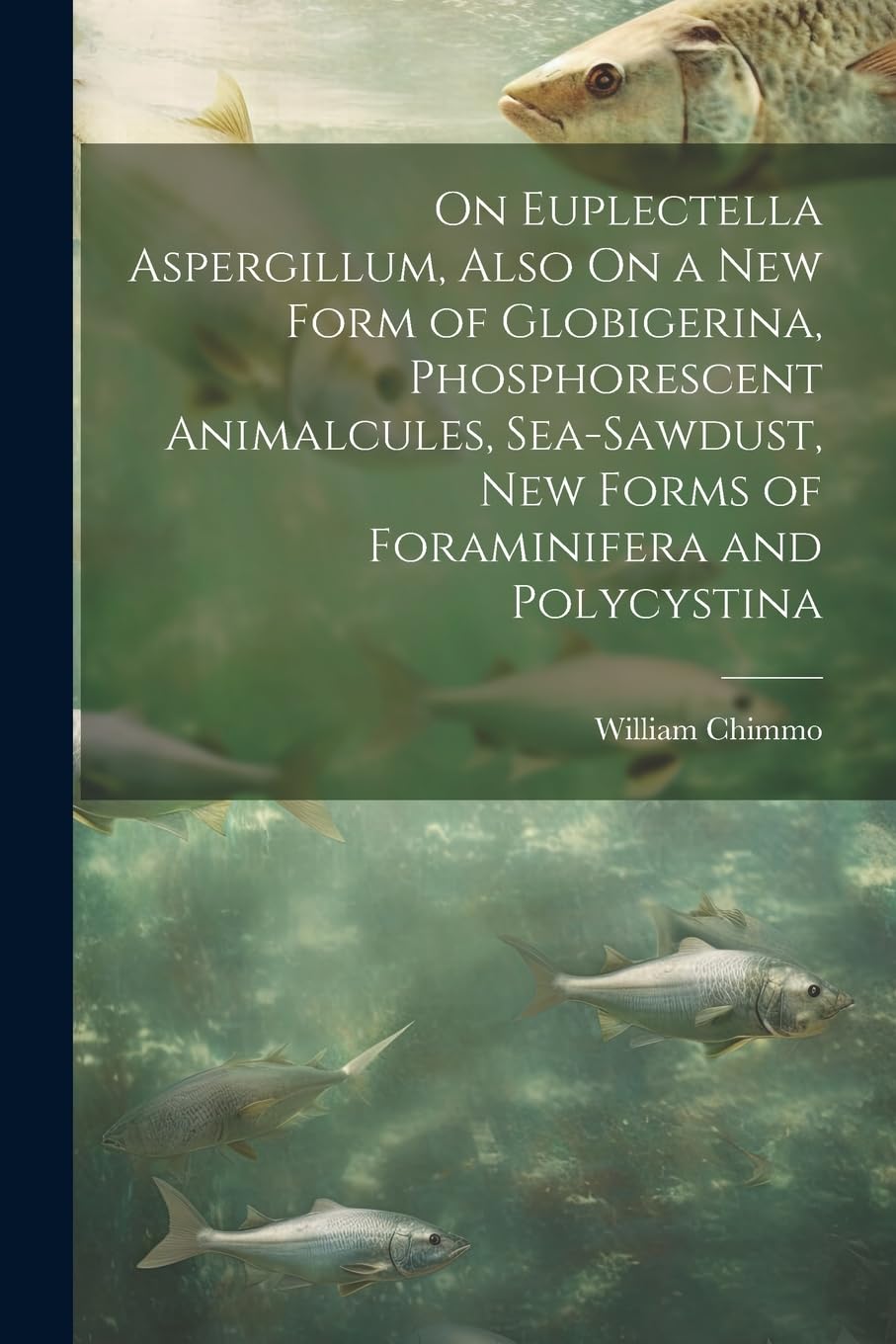 On Euplectella Aspergillum, Also On a New Form of Globigerina, Phosphorescent Animalcules, Sea-Sawdust, New Forms of Foraminifera and Polycystina Mathematics