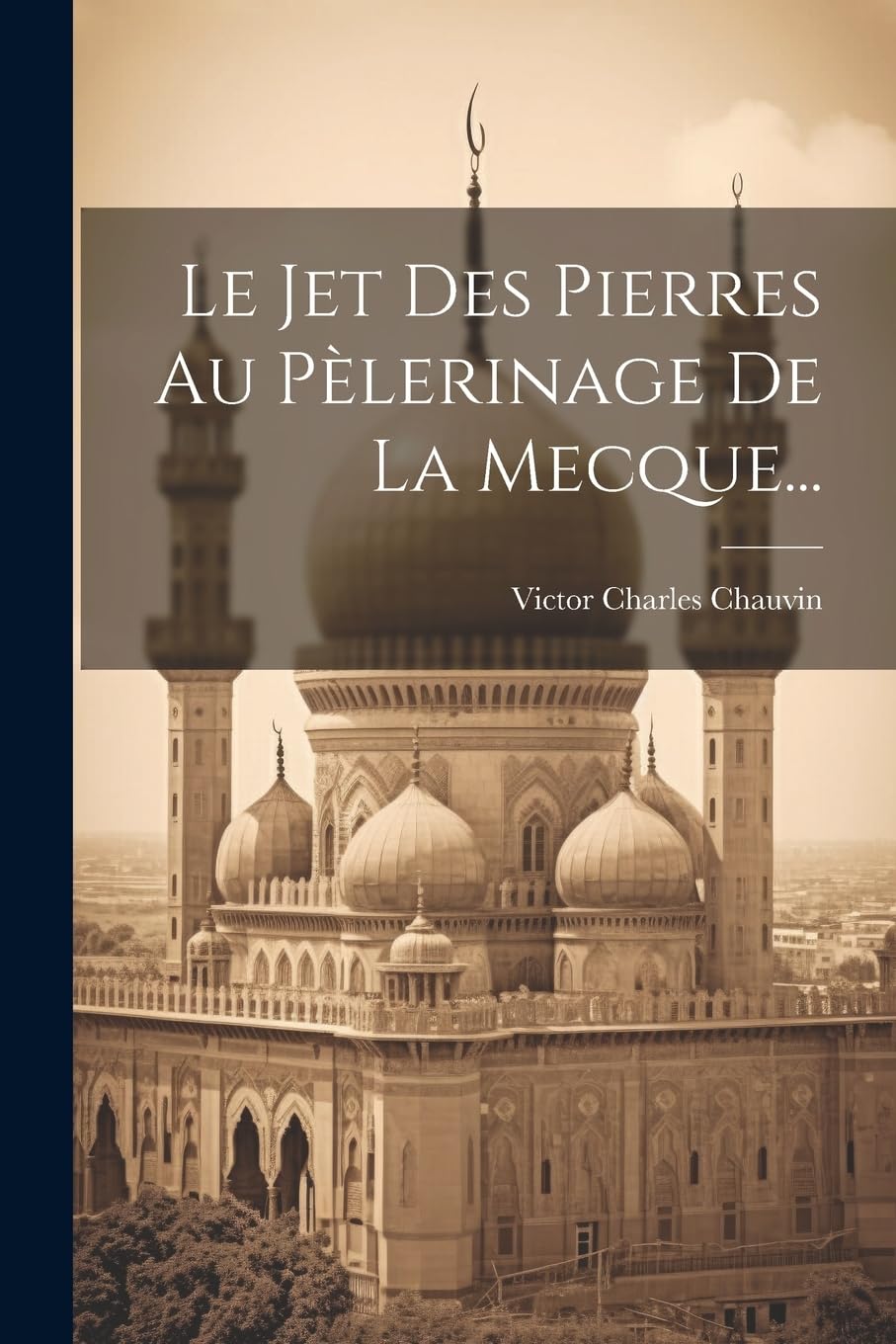 Le Jet Des Pierres Au Pèlerinage De La Mecque... book