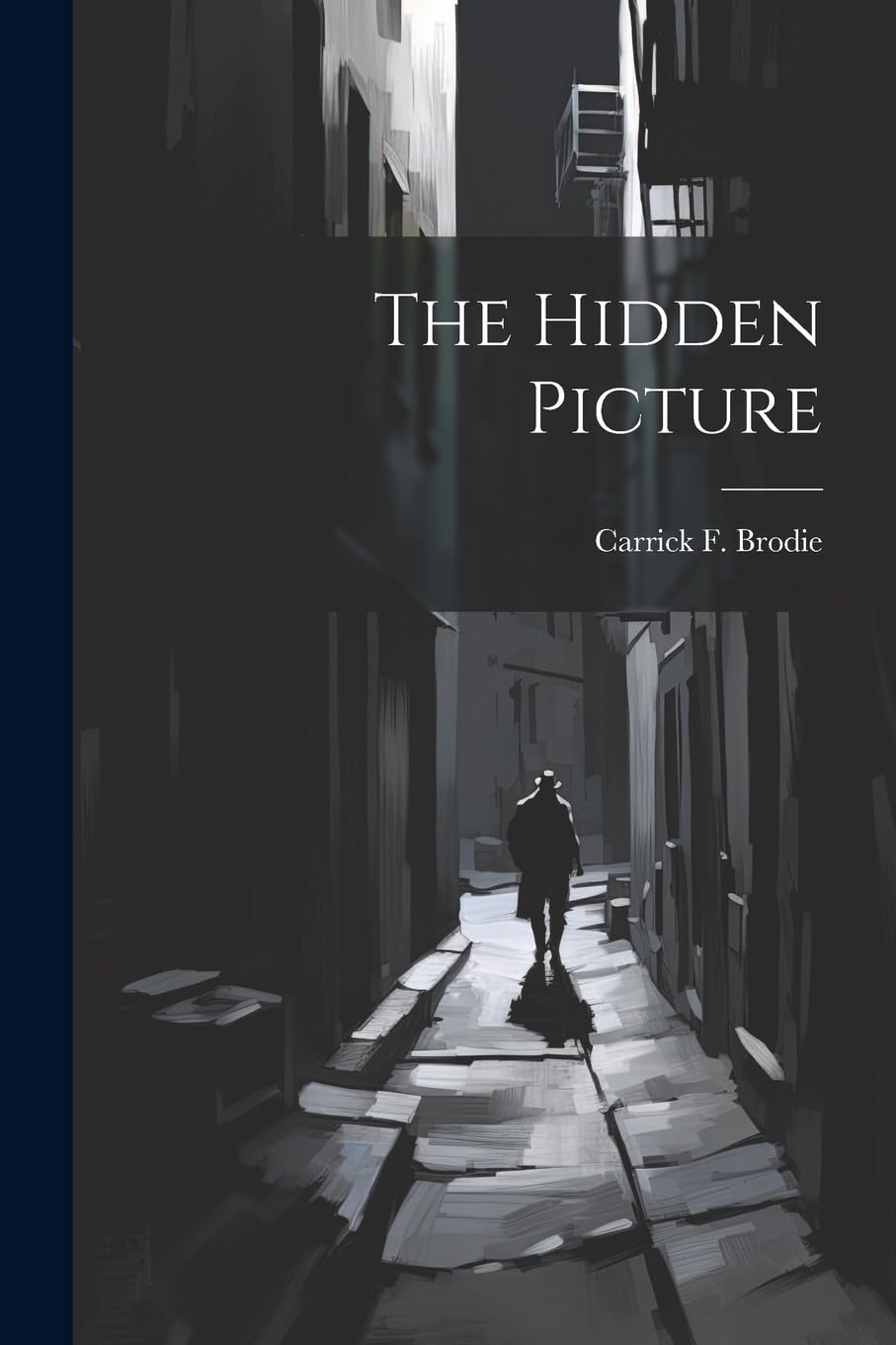 The Hidden Picture Contemporary literature