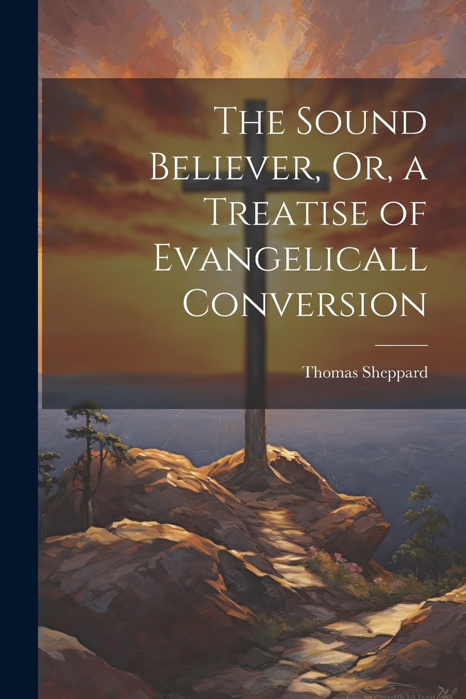 The Sound Believer, Or, a Treatise of Evangelicall Conversion Politics & History