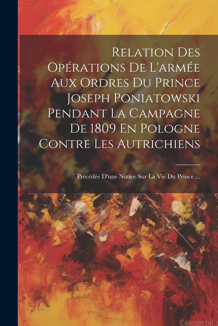 Relation Des Opérations De L'armée Aux Ordres Du Prince Joseph Poniatowski Pendant La Campagne De 1809 En Pologne Contre Les Autrichiens: Précédée D'une Notice Sur La Vie Du Prince ... Politics & History
