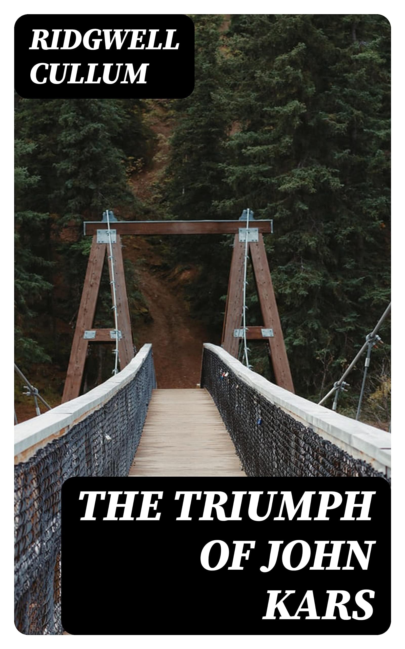 The Triumph of John Kars Action & Adventure