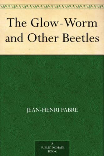 The Glow-Worm and Other Beetles Mathematics