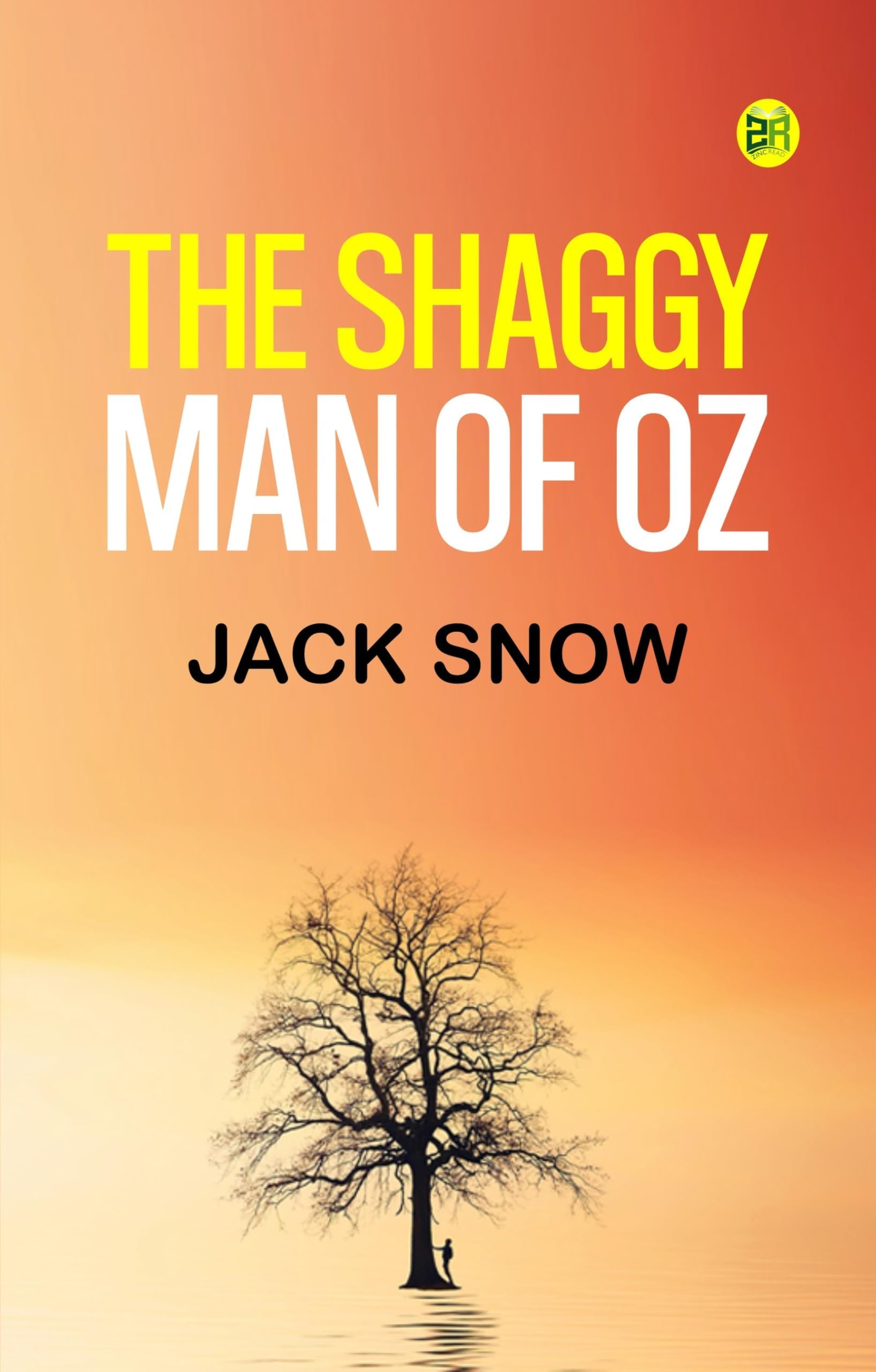 The Shaggy Man of Oz book