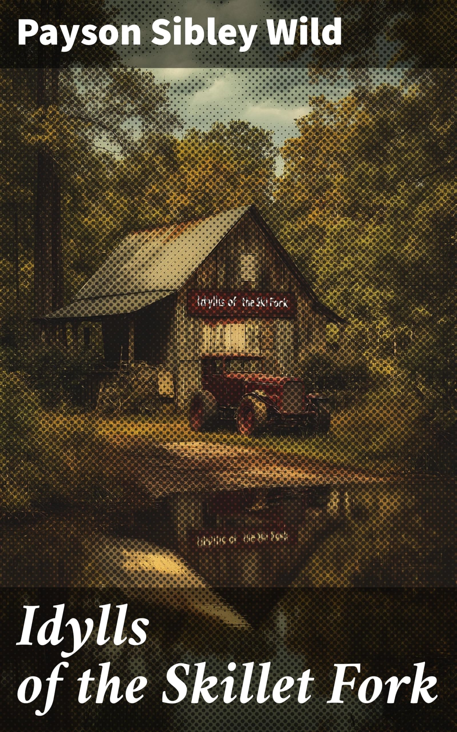 Idylls of the Skillet Fork book