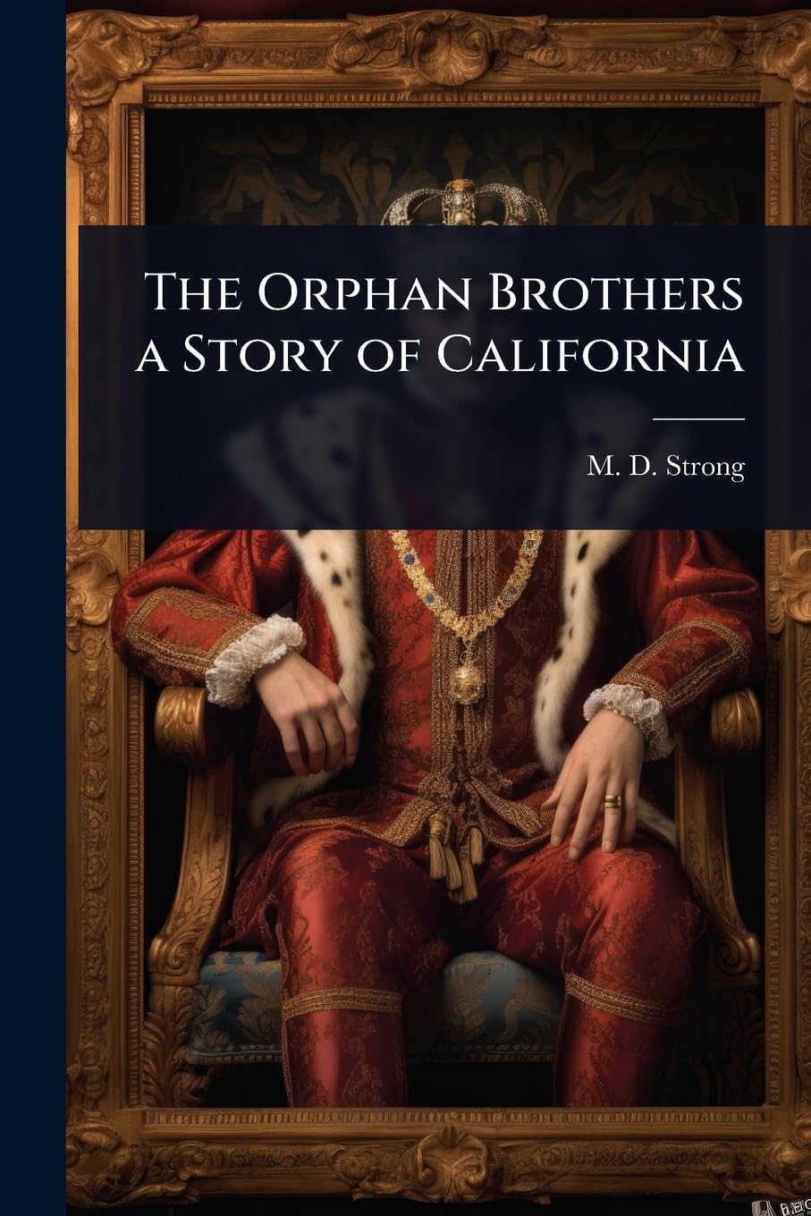 The Orphan Brothers a Story of California book