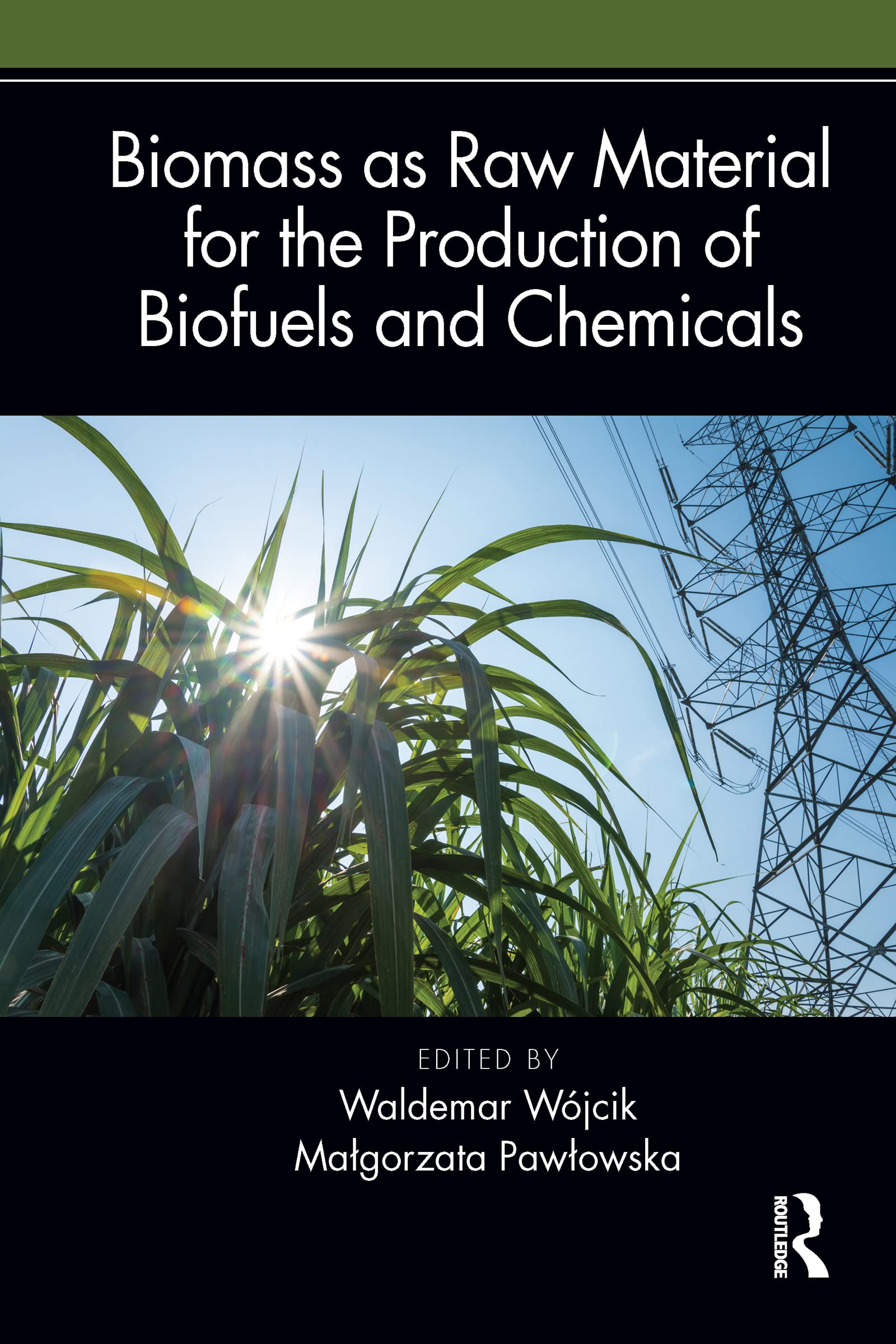 Biomass as Raw Material for the Production of Biofuels and Chemicals Medicine