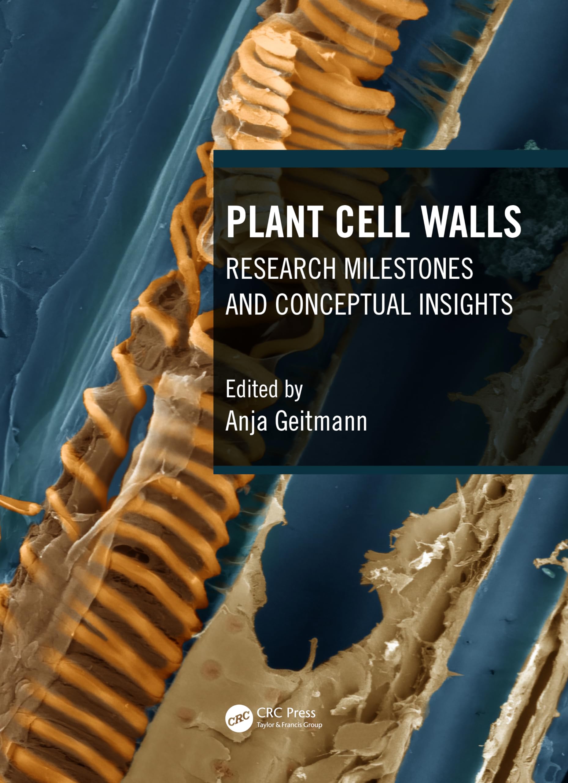 Plant Cell Walls: Research Milestones and Conceptual Insights Business & Technology