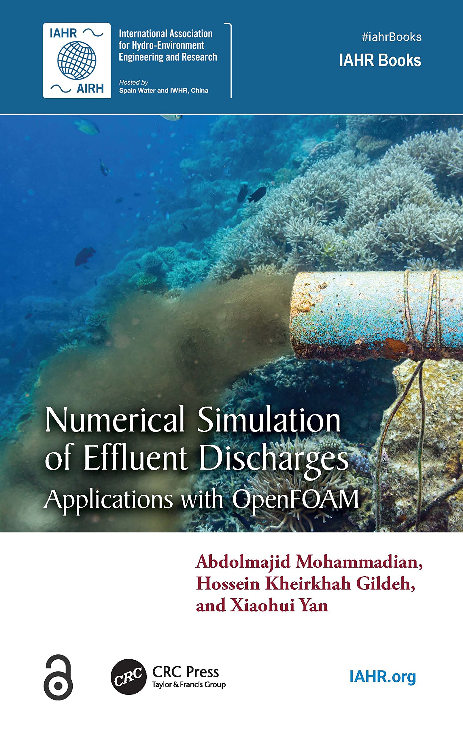 Numerical Simulation of Effluent Discharges Business, Finance & Career