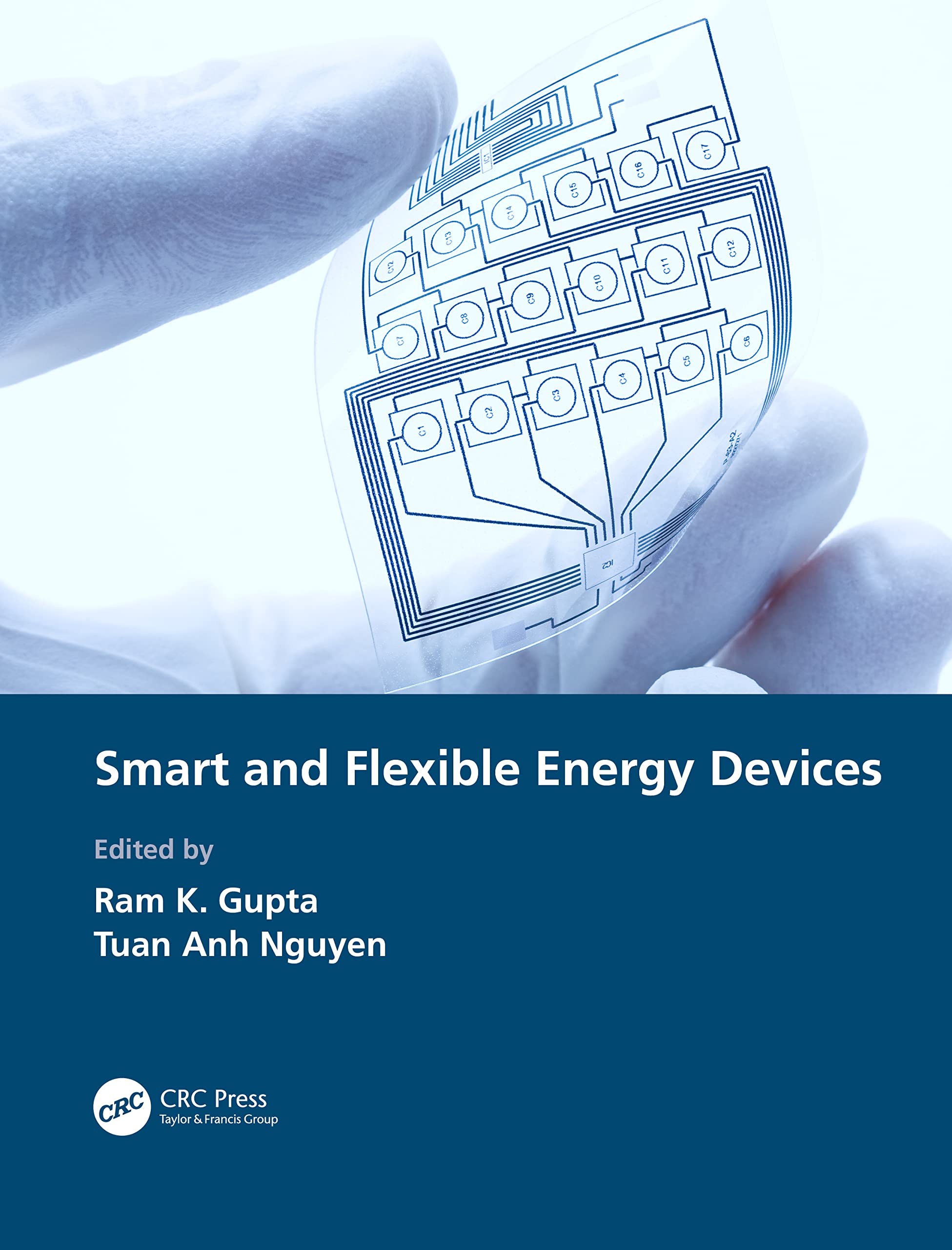 Smart and Flexible Energy Devices Natural Sciences
