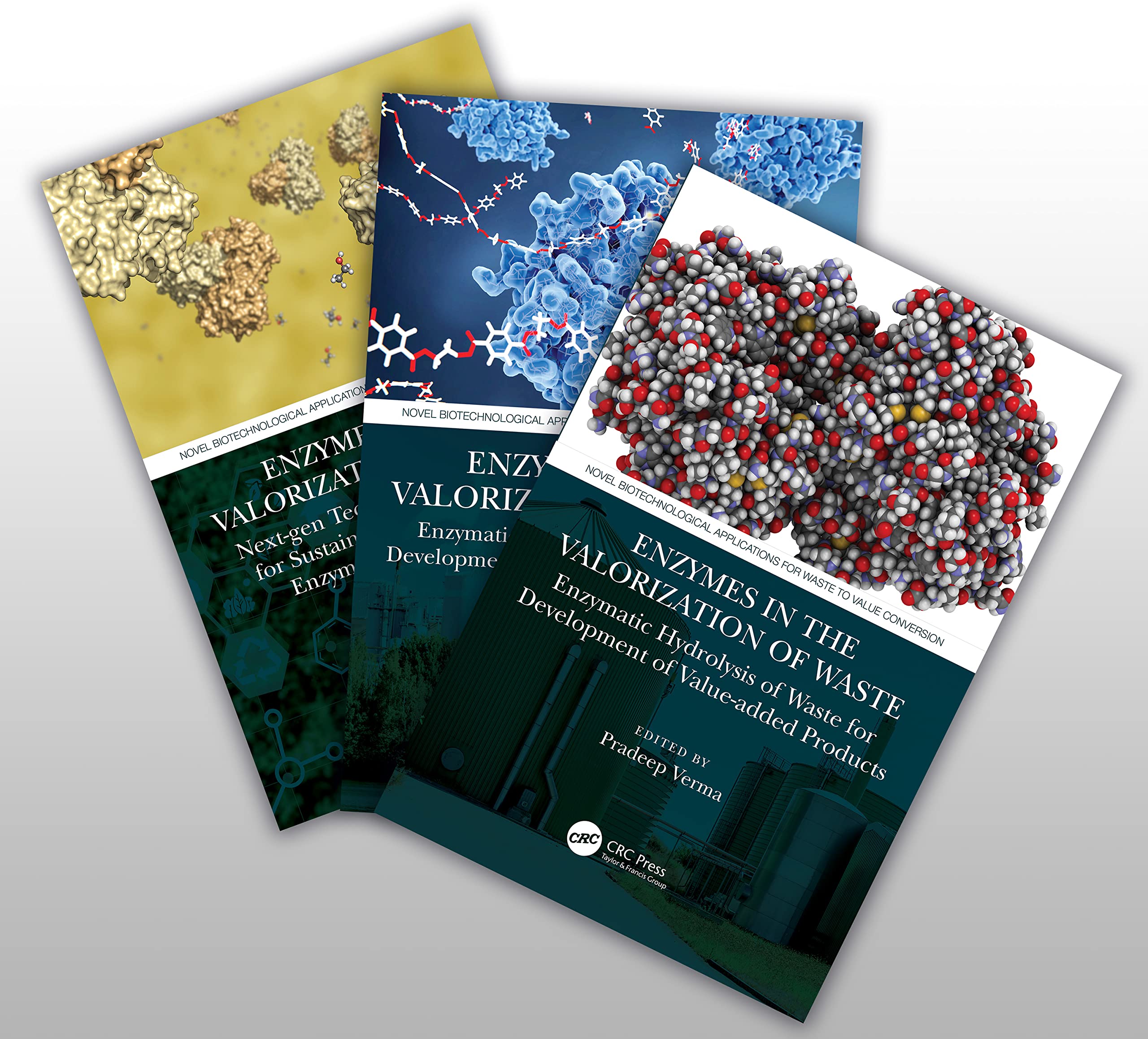 Enzymes in the Valorization of Waste (Novel Biotechnological Applications for Waste to Value Conversion) Business & Technology