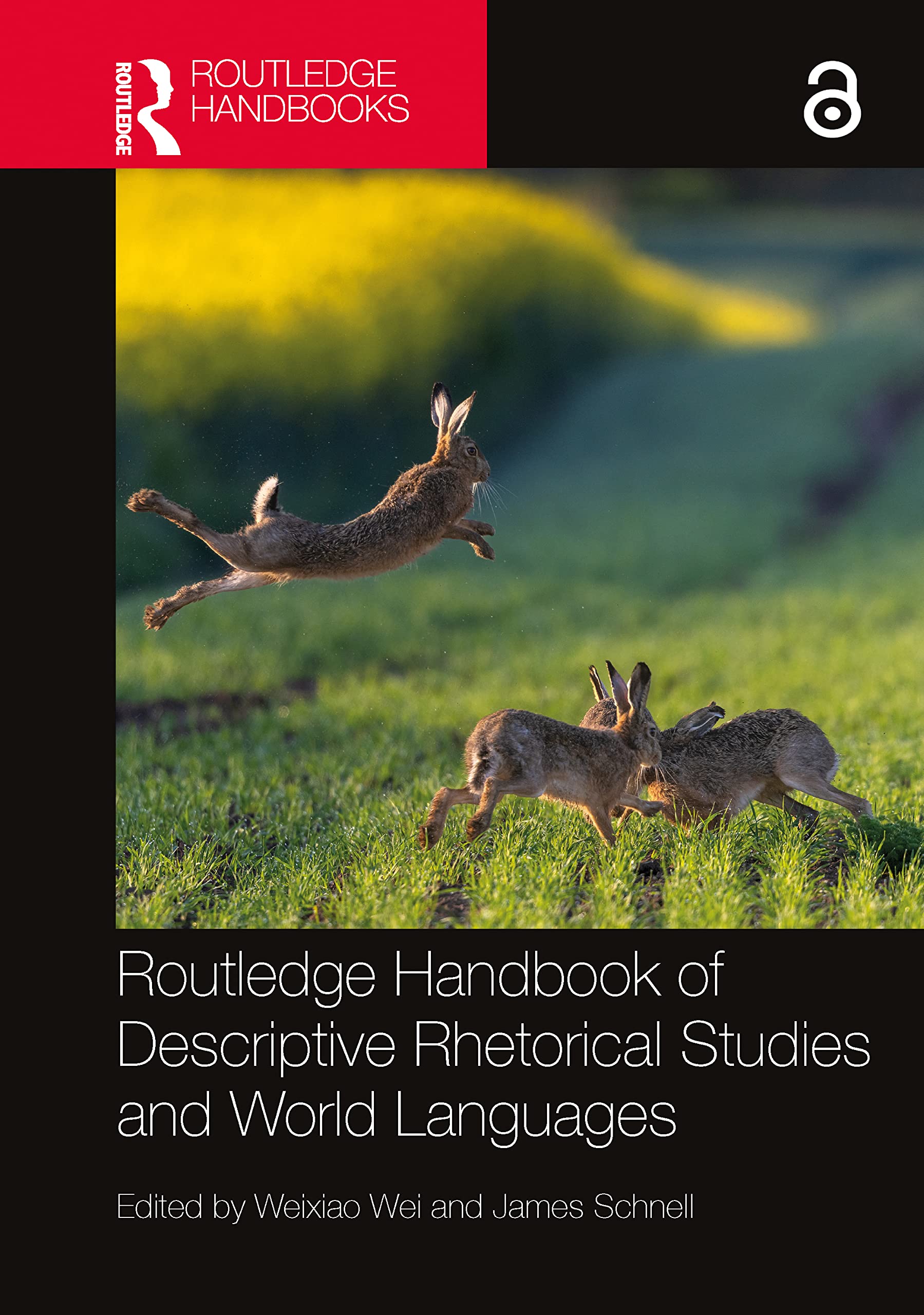 Routledge Handbook of Descriptive Rhetorical Studies and World Languages Business, Finance & Career