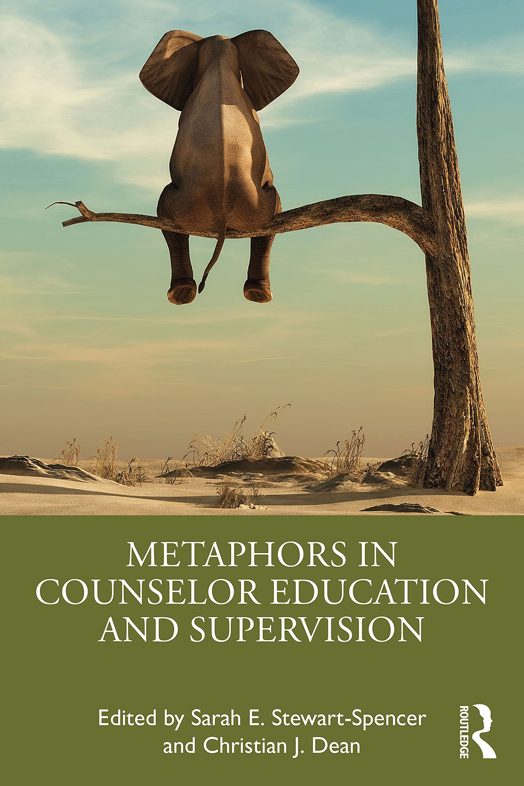 Metaphors in Counselor Education and Supervision Medicine