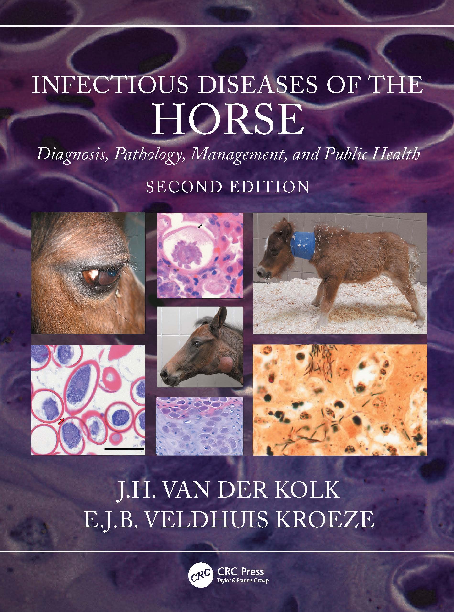Infectious Diseases of the Horse: Diagnosis, Pathology, Management, and Public Health Medicine