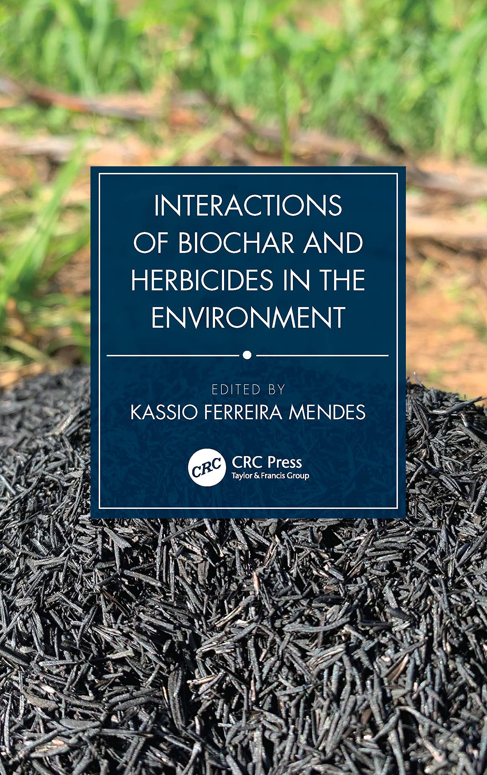 Interactions of Biochar and Herbicides in the Environment Mathematics