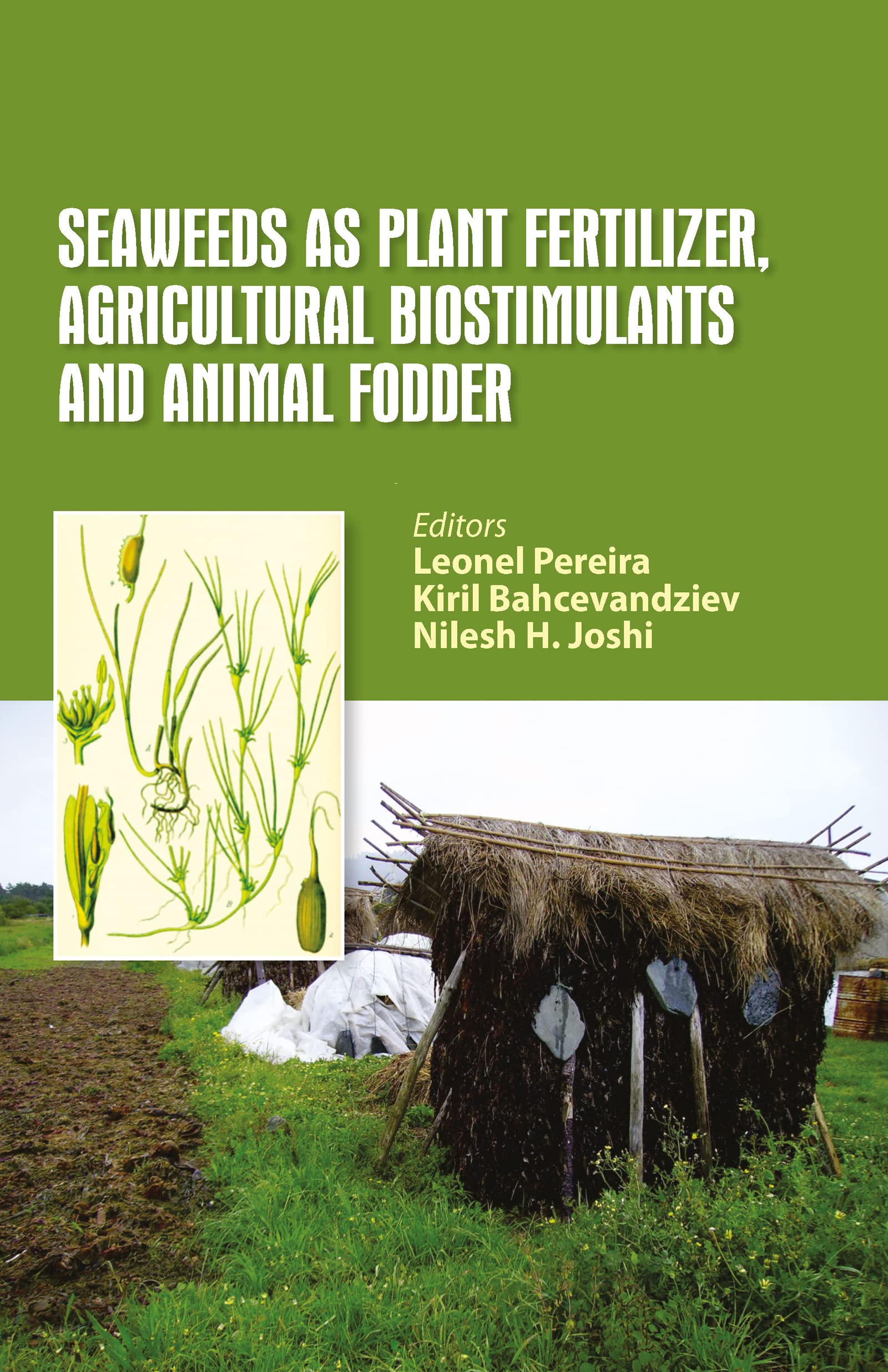 Seaweeds as Plant Fertilizer, Agricultural Biostimulants and Animal Fodder Business & Technology