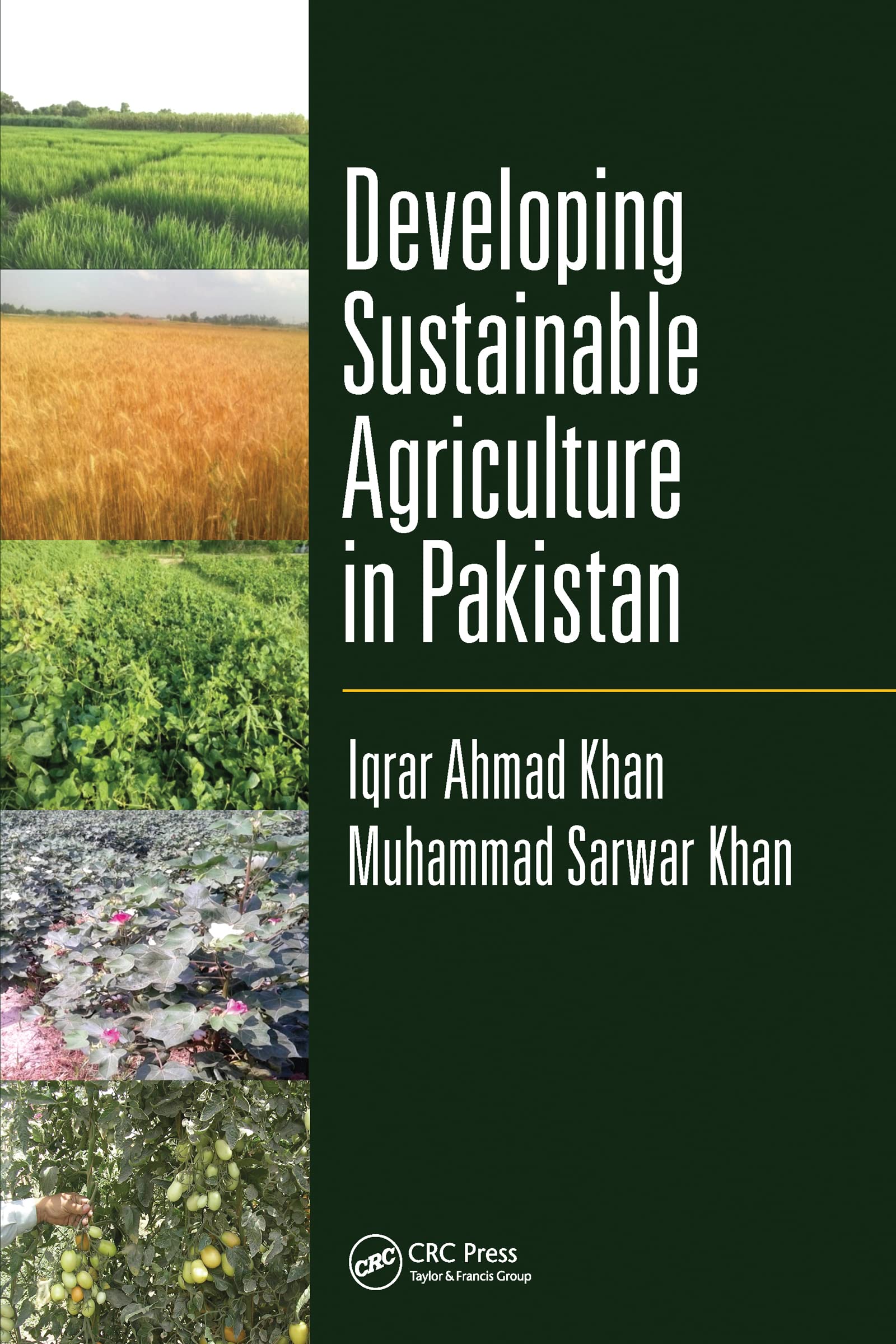 Developing Sustainable Agriculture in Pakistan Business, Finance & Career