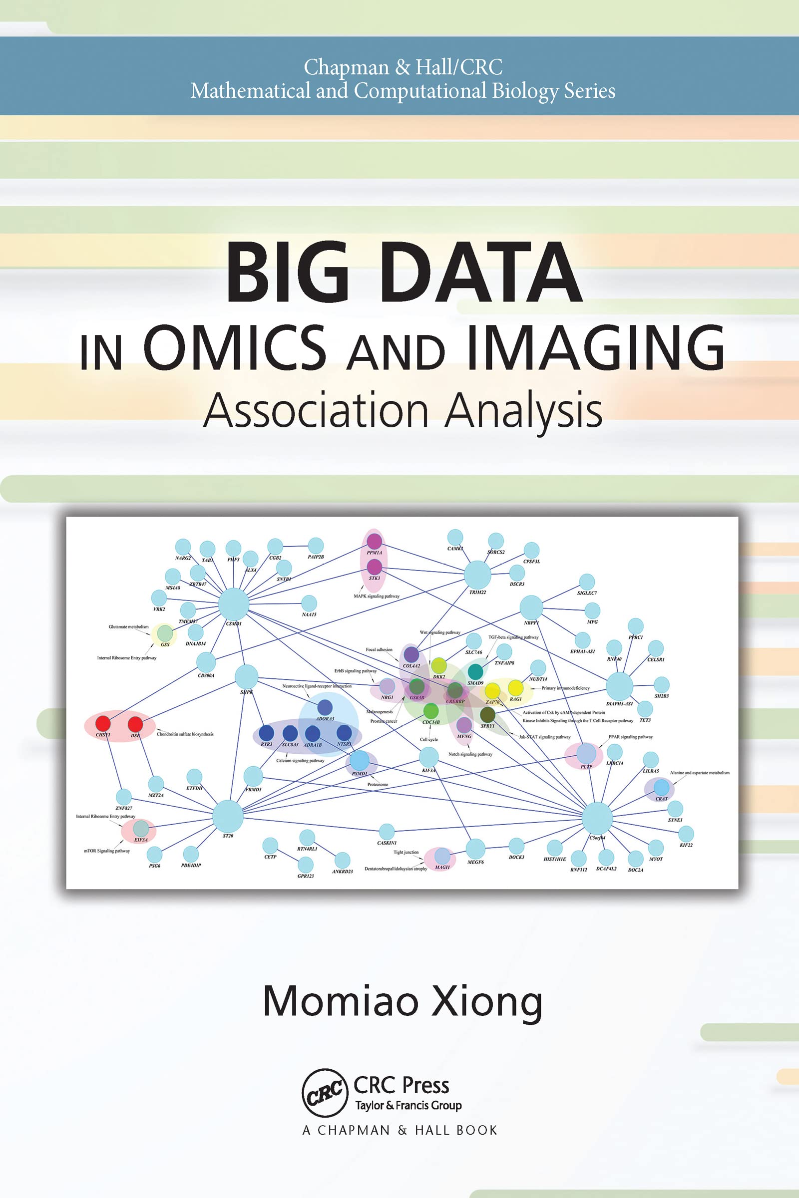 Xiong, M: Big Data in Omics and Imaging Business & Technology