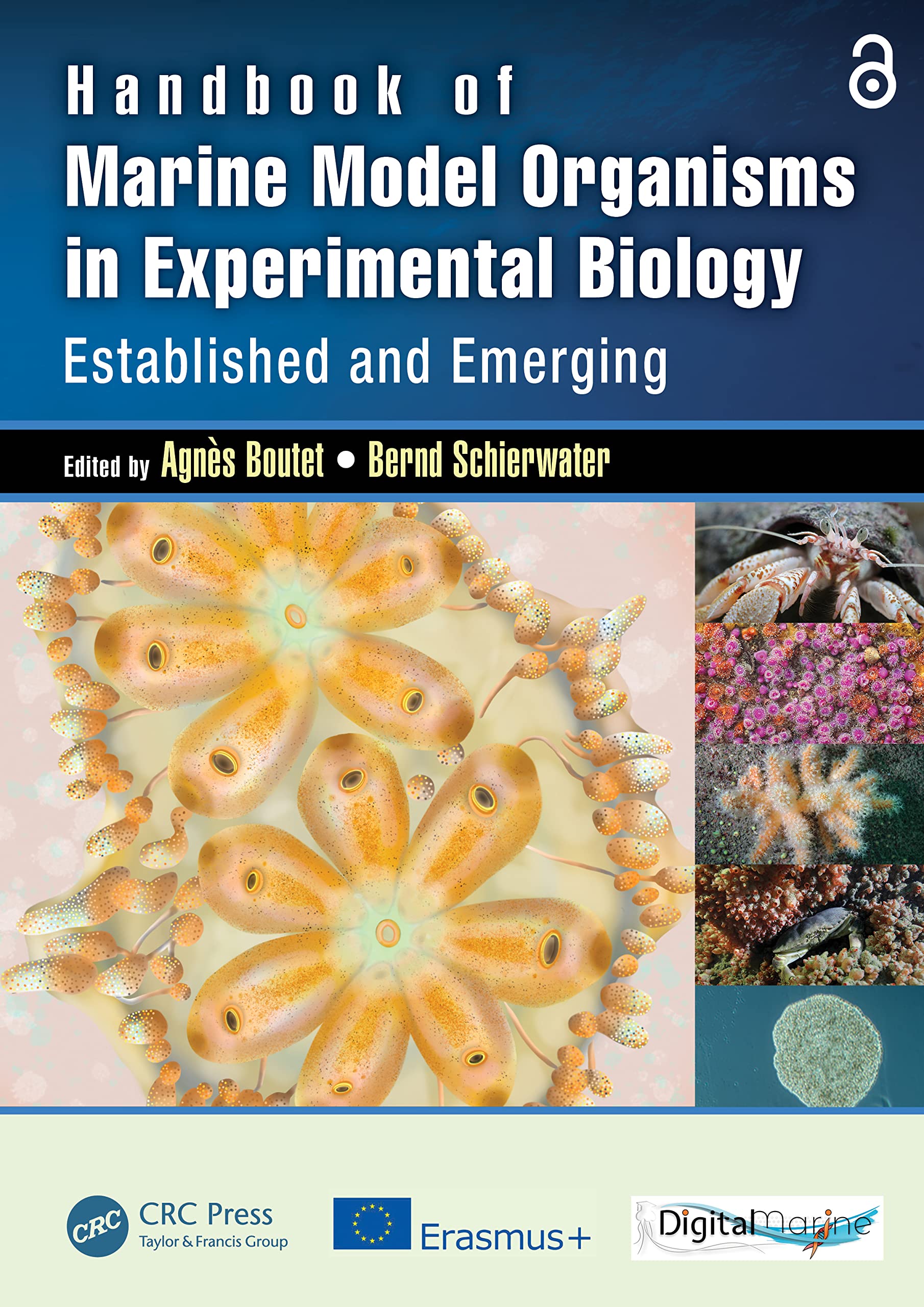 Handbook of Marine Model Organisms in Experimental Biology: Established and Emerging Medicine