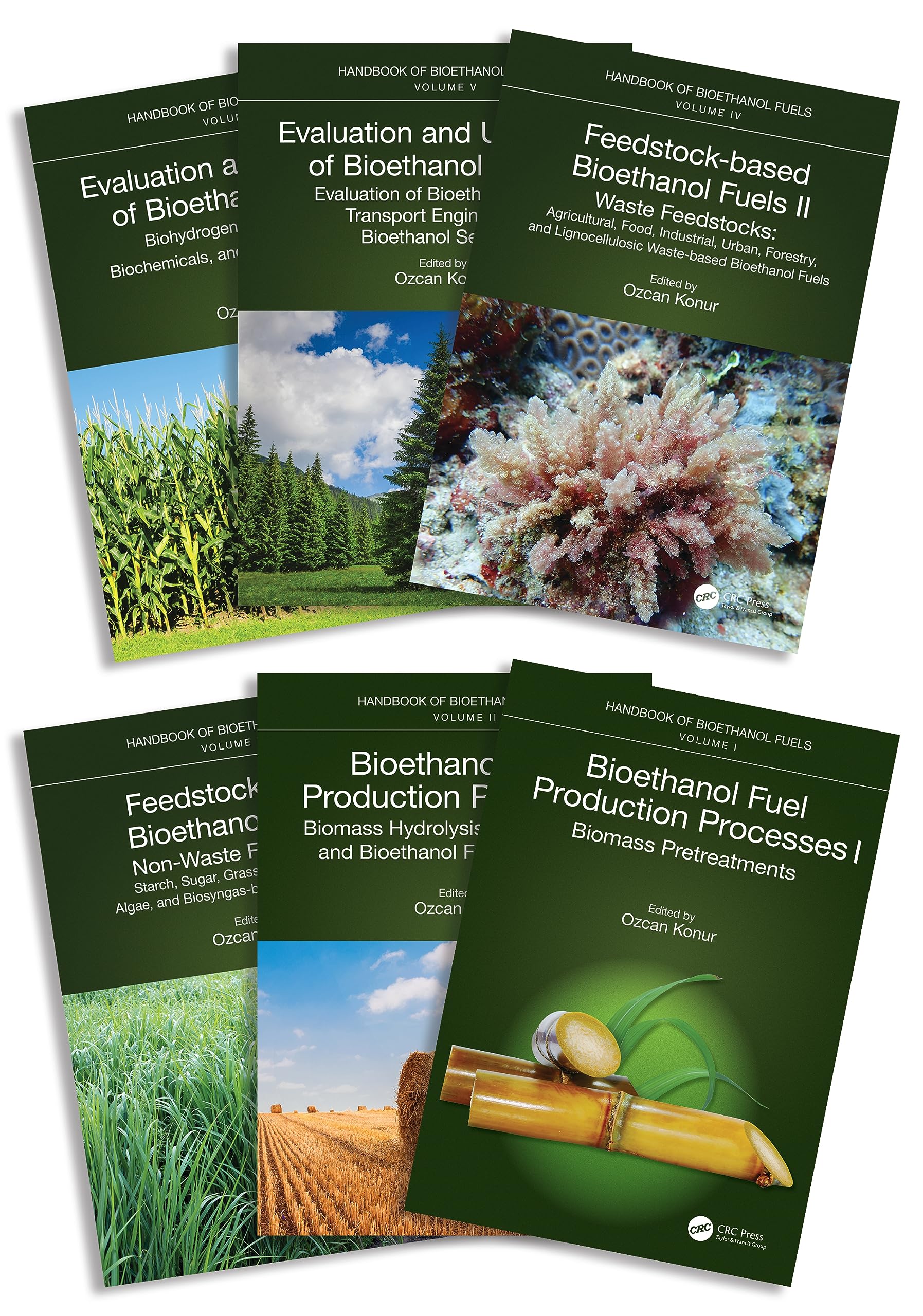 Handbook of Bioethanol Fuels: Bioethanol Fuel Production Processes I; Biomass Pretreatments / Bioethanol Fuel Production Processes II; Biomass ... Feedstocks; Starch, Sugar, Grass, Woo Business & Technology