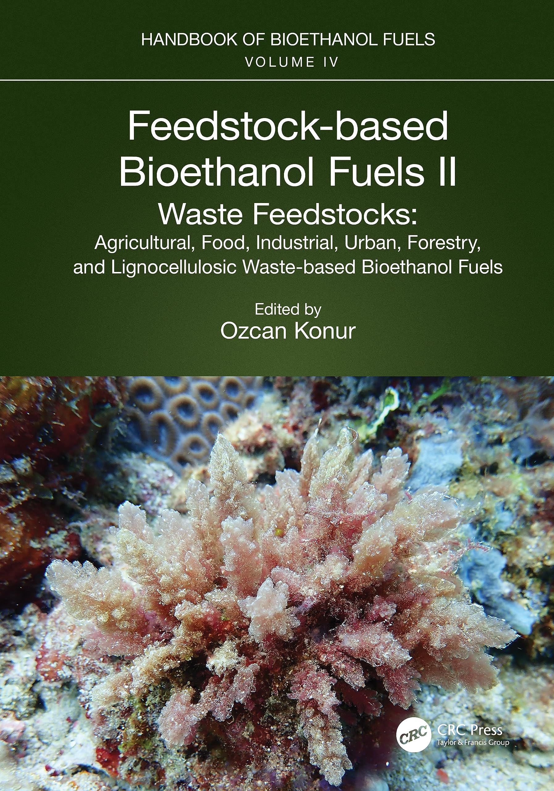Feedstock-based Bioethanol Fuels. II. Waste Feedstocks Business & Technology