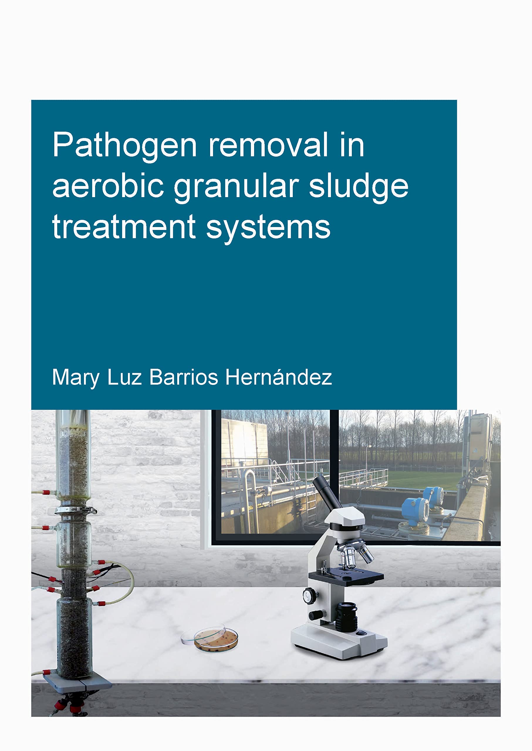 Pathogen removal in aerobic granular sludge treatment systems (Ihe Delft Phd Thesis) Business & Technology