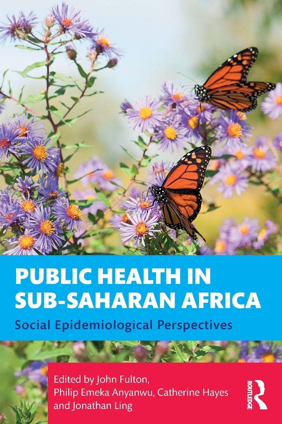 Public Health in Sub-Saharan Africa Medicine