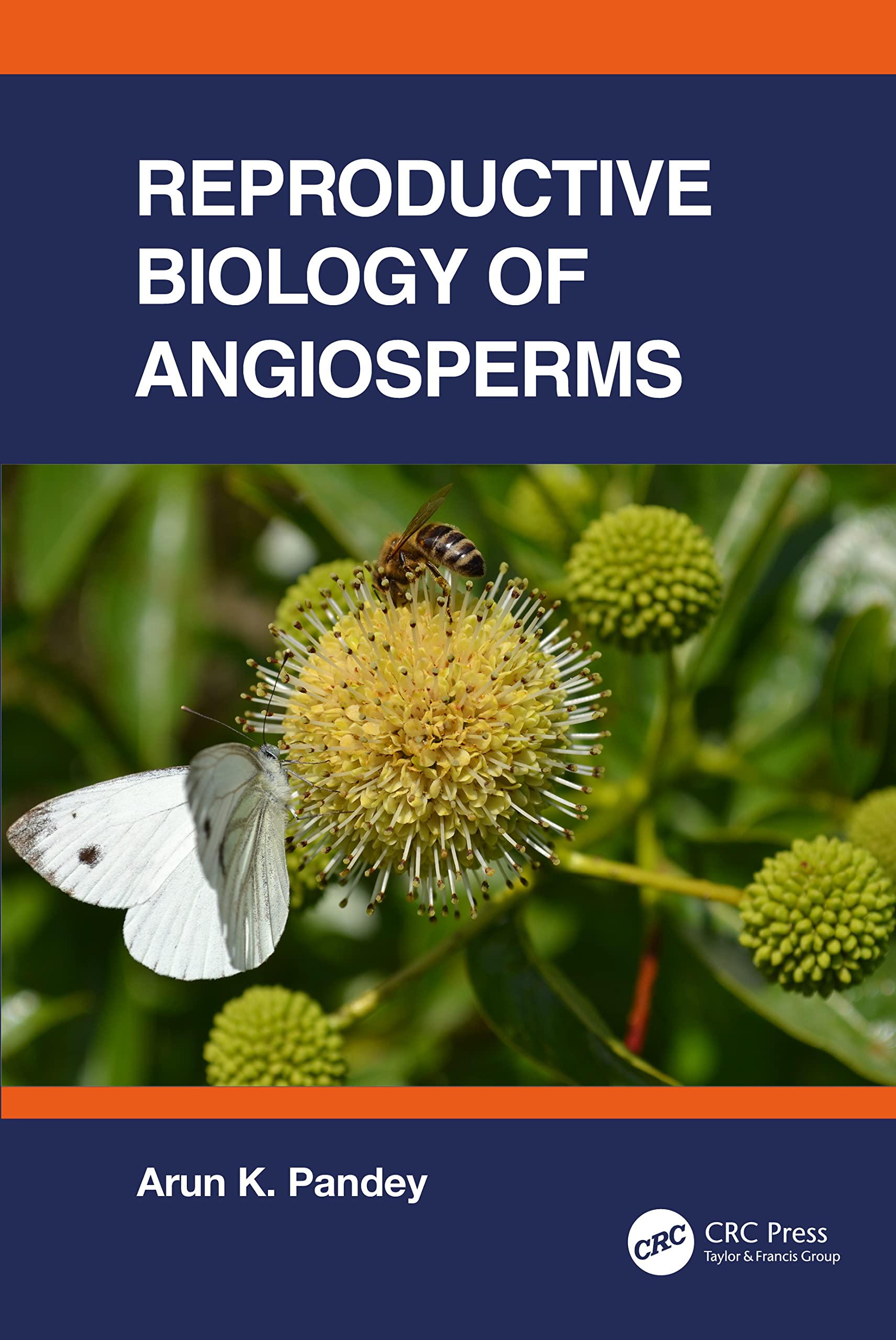 Reproductive Biology of Angiosperms Mathematics