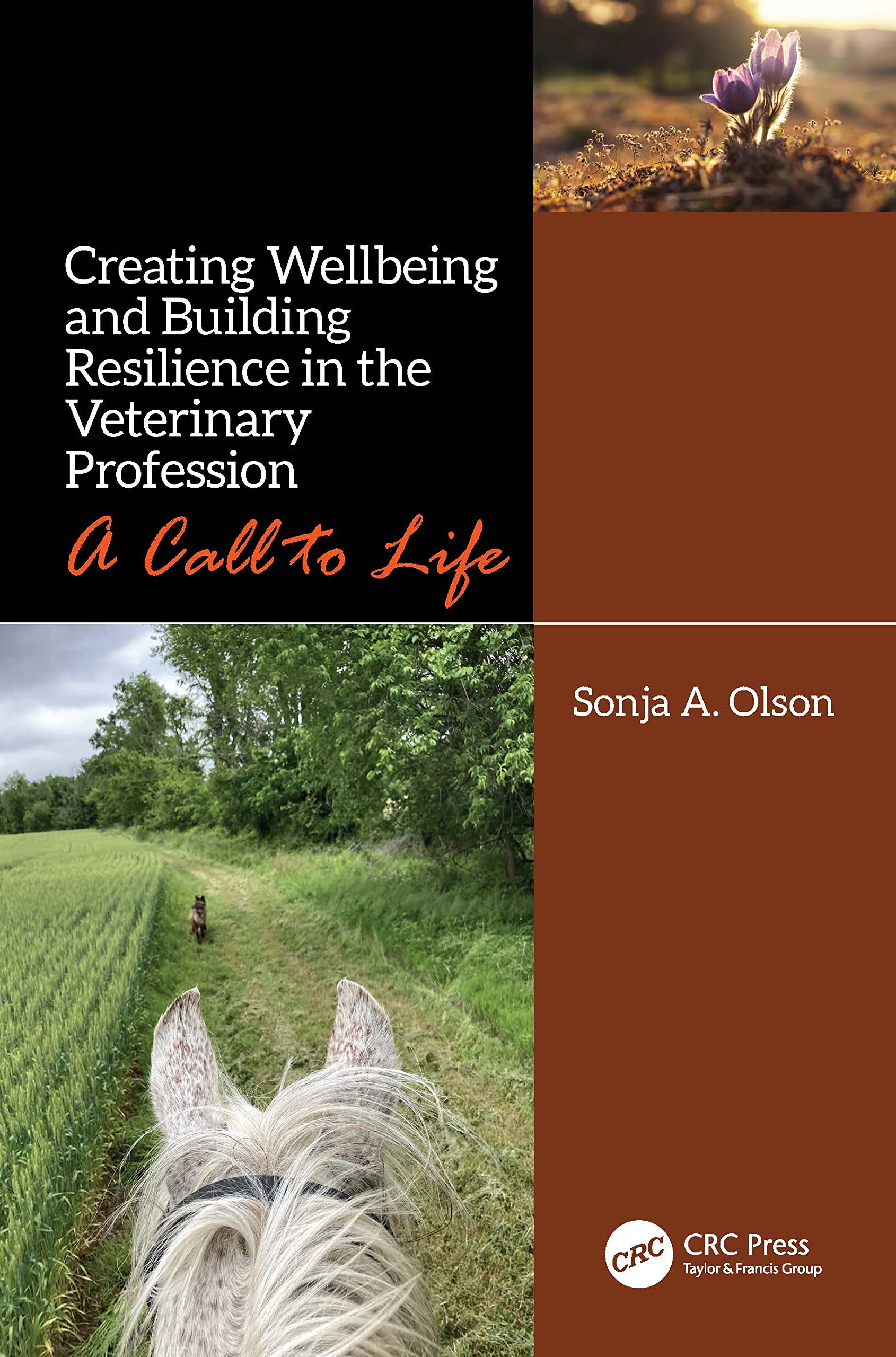 Creating Wellbeing and Building Resilience in the Veterinary Profession Medicine